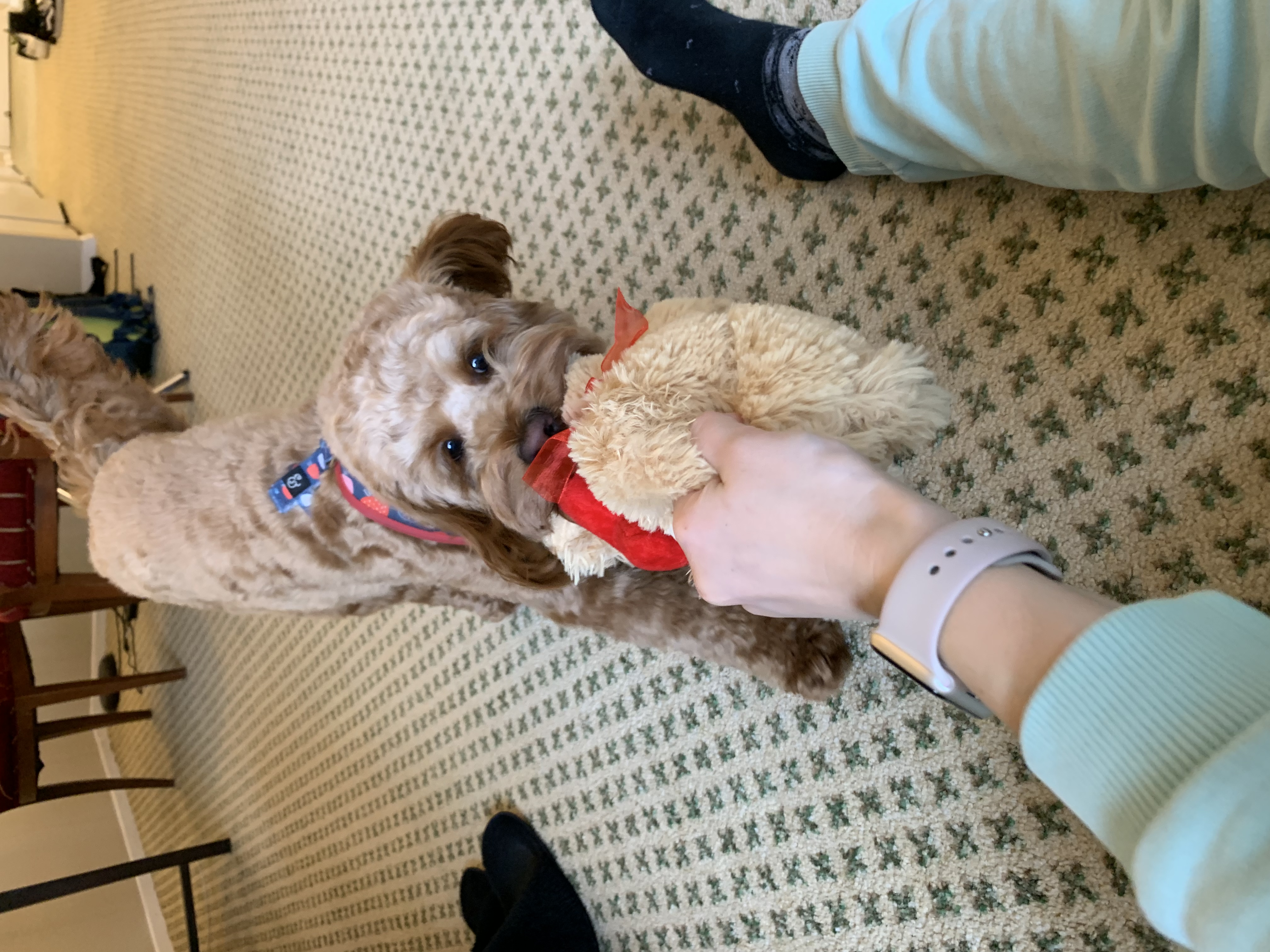 image-9