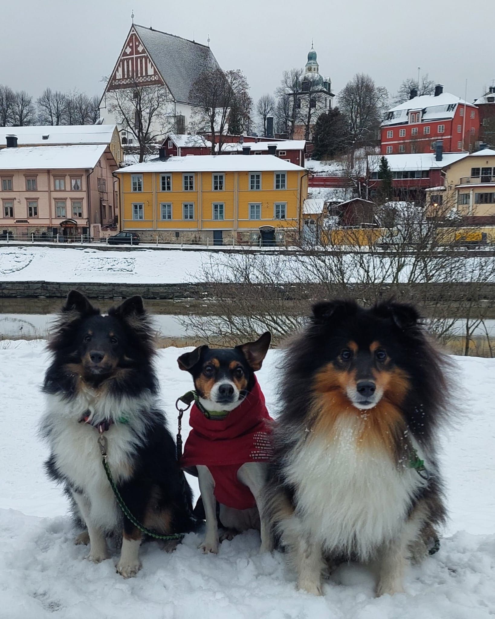 image-9