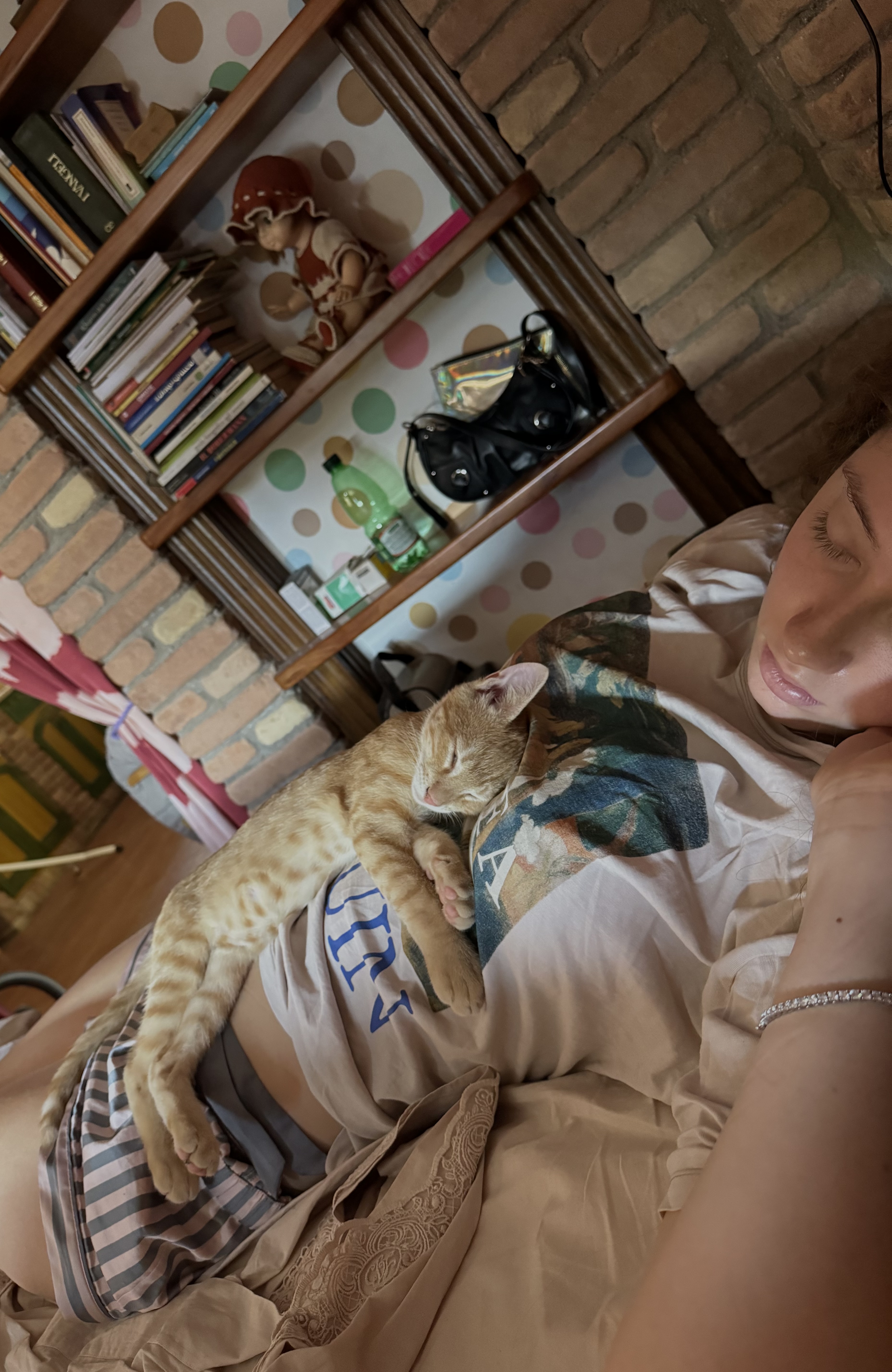 image-7