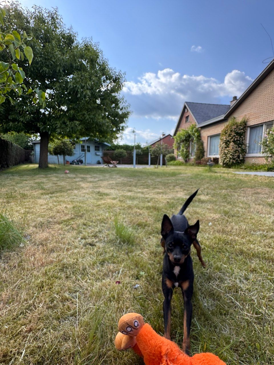 image-16