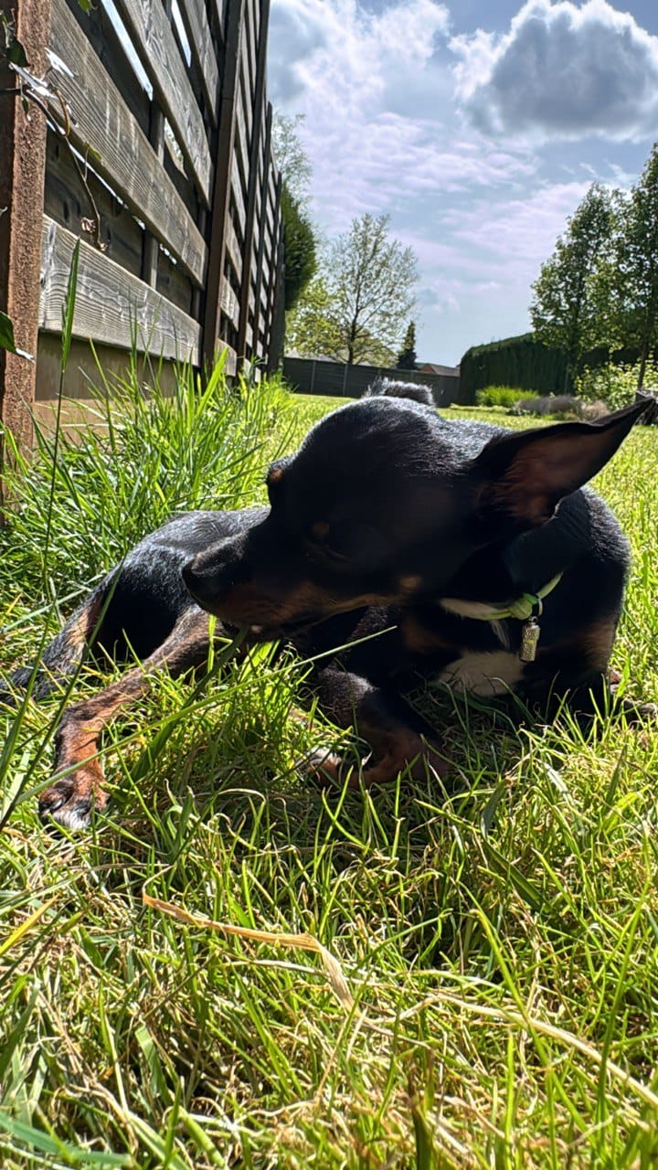 image-6