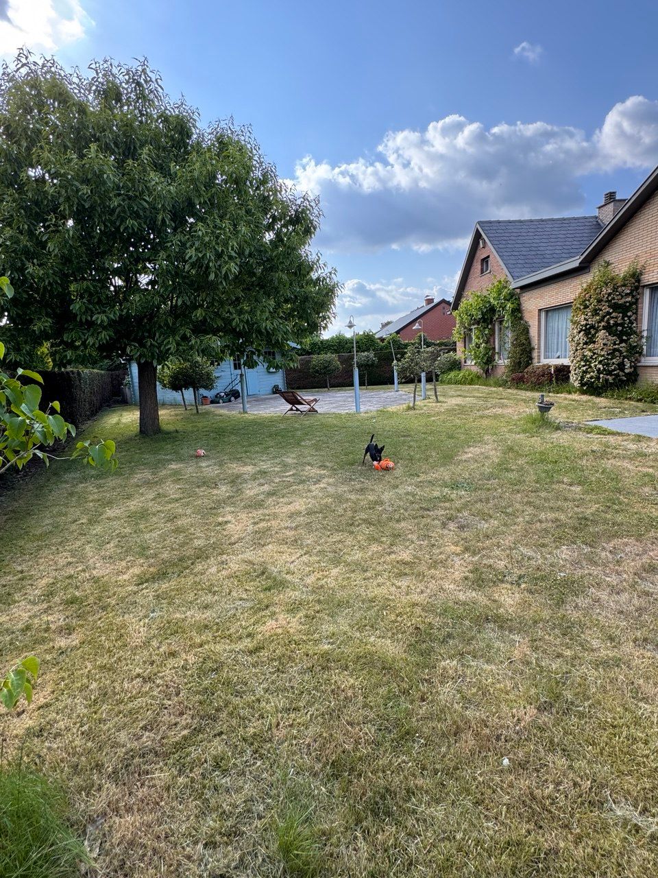 image-15