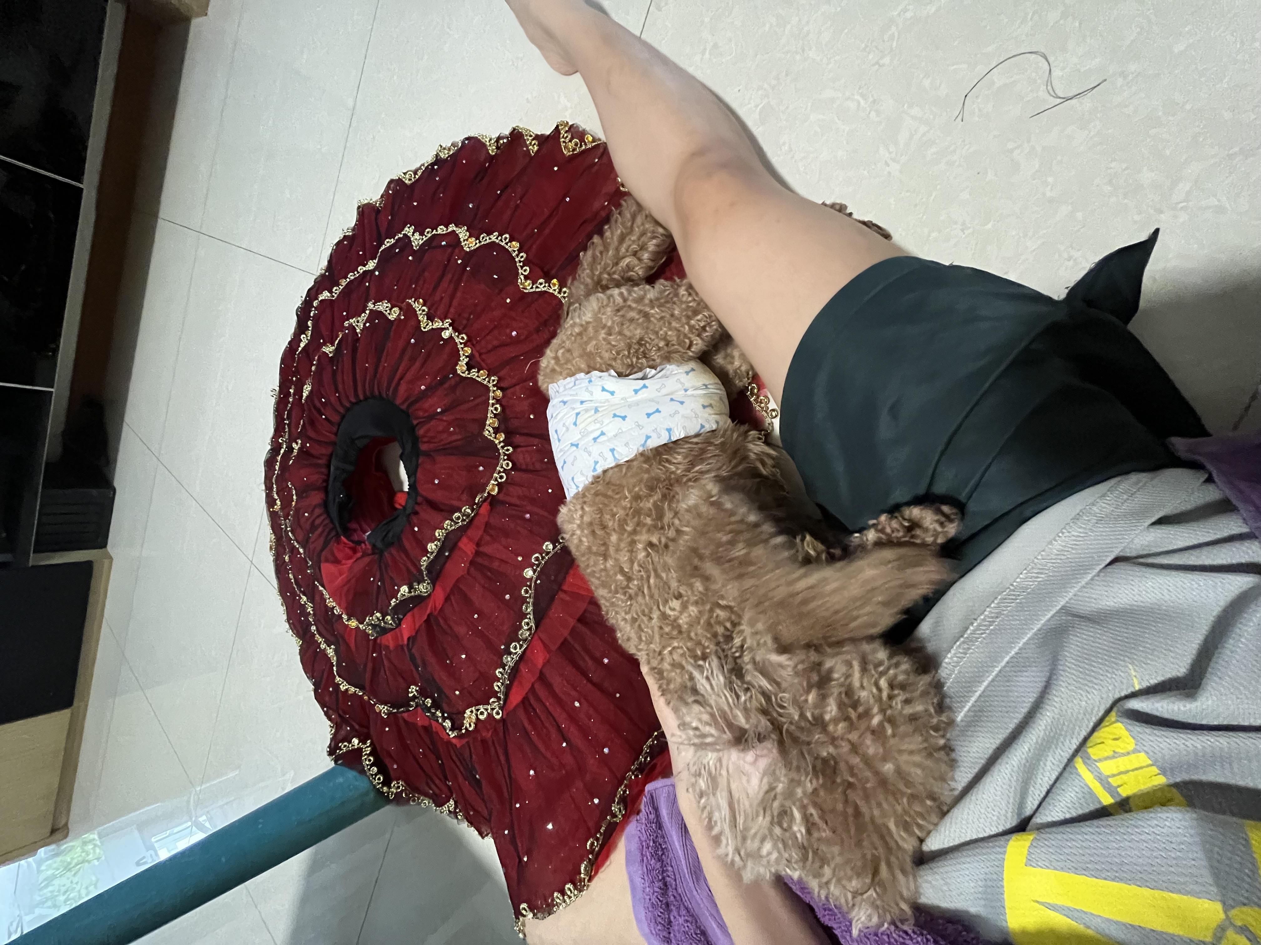 image-6