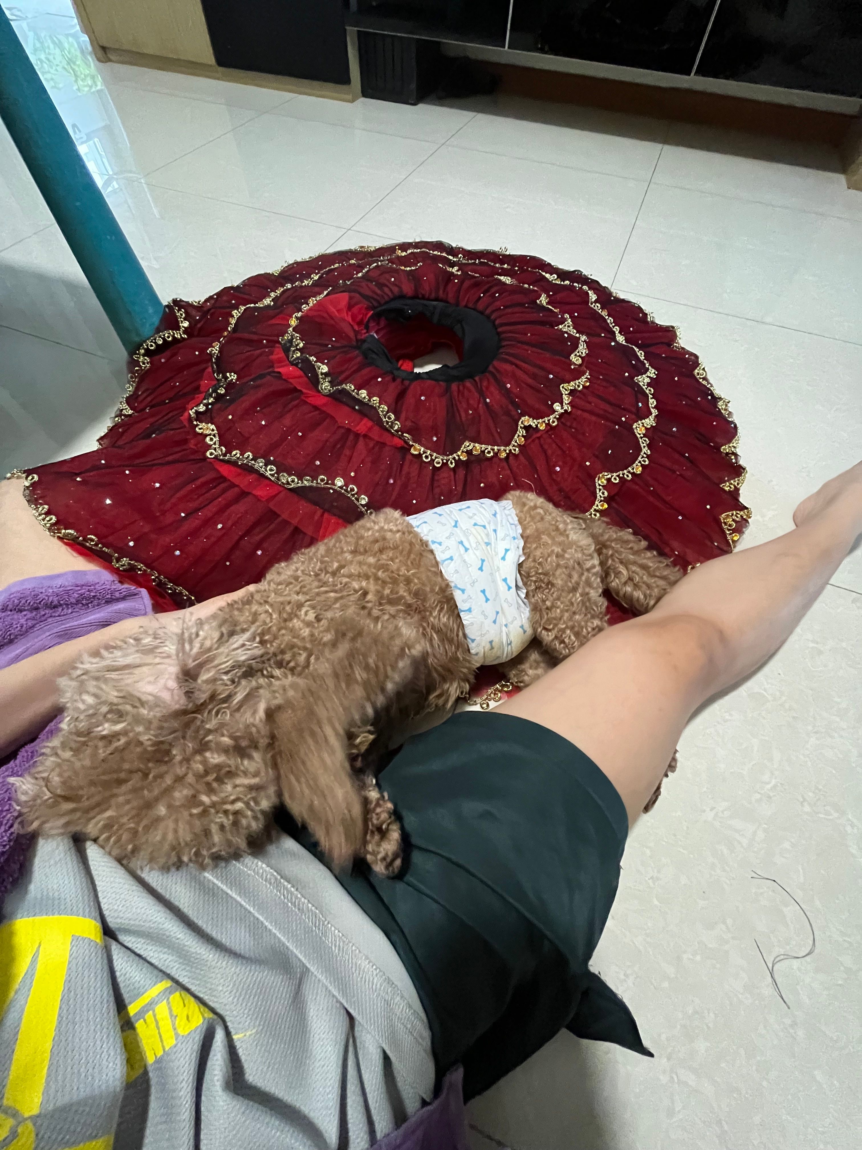 image-6