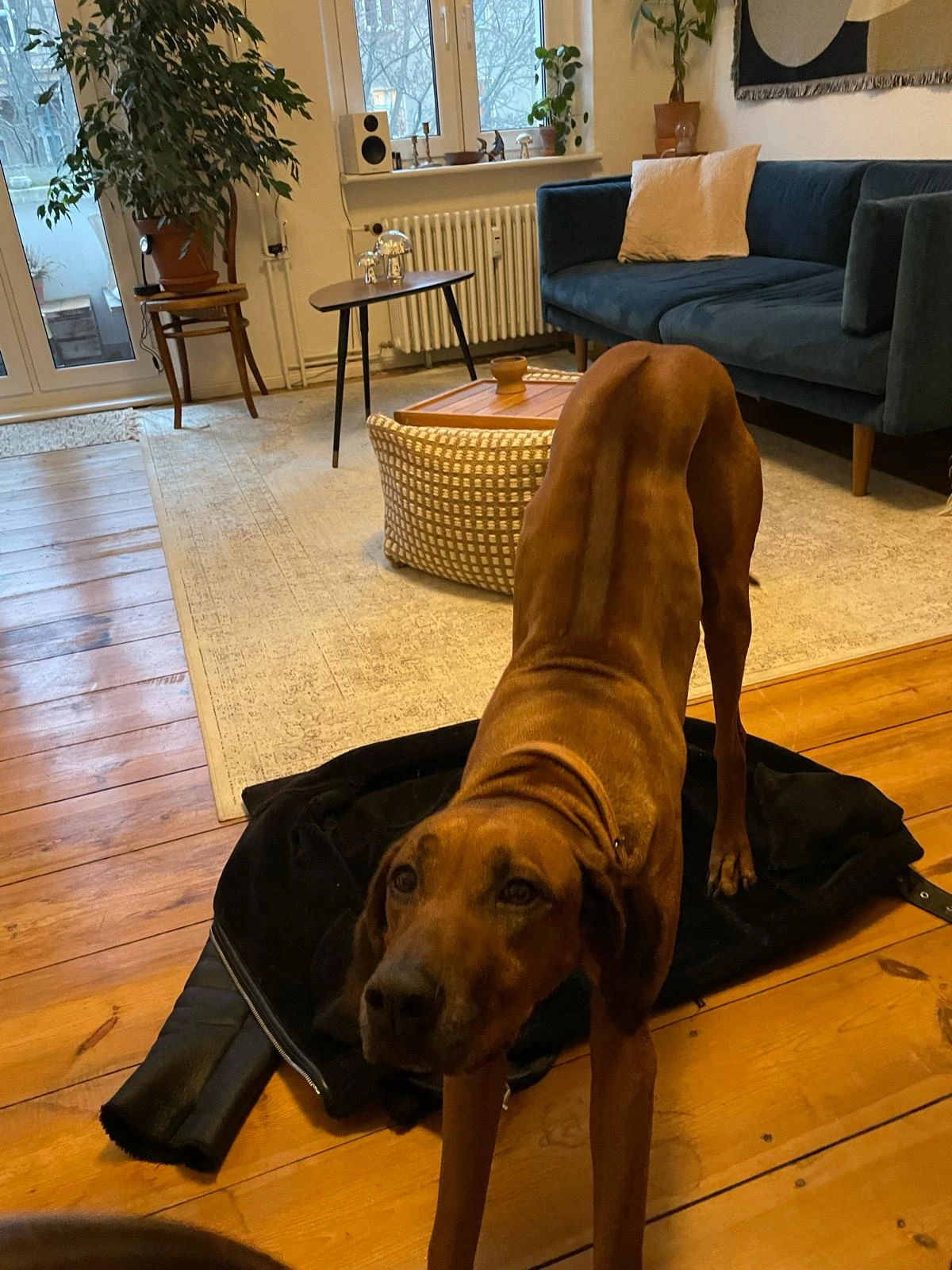 image-11