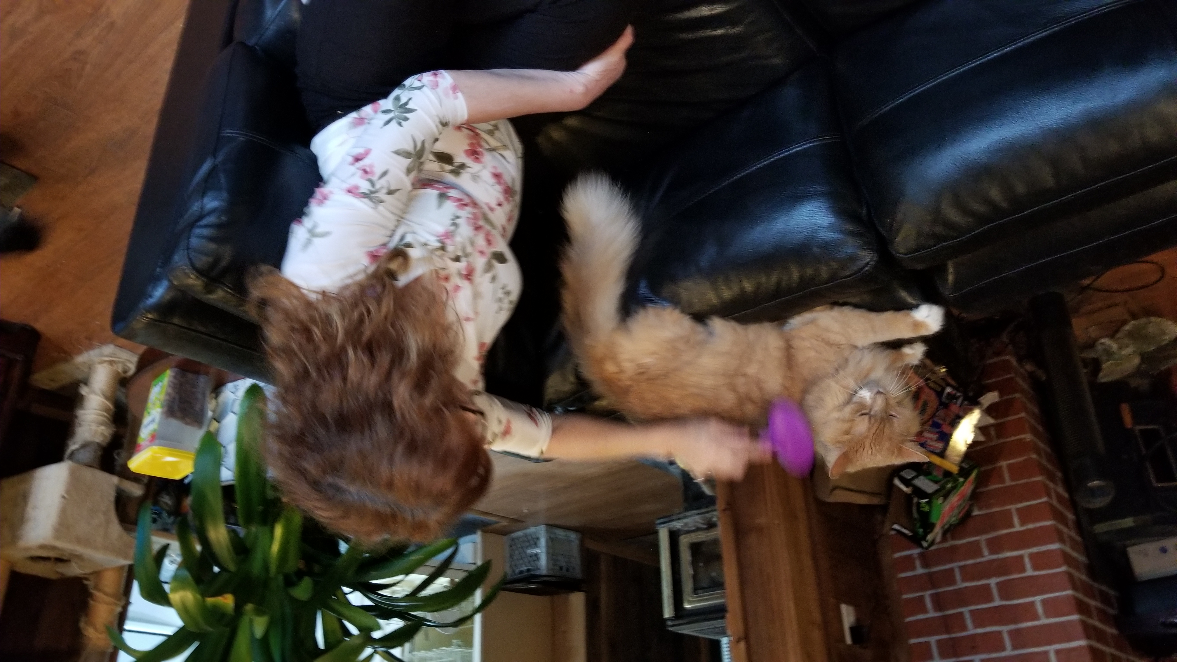 image-10