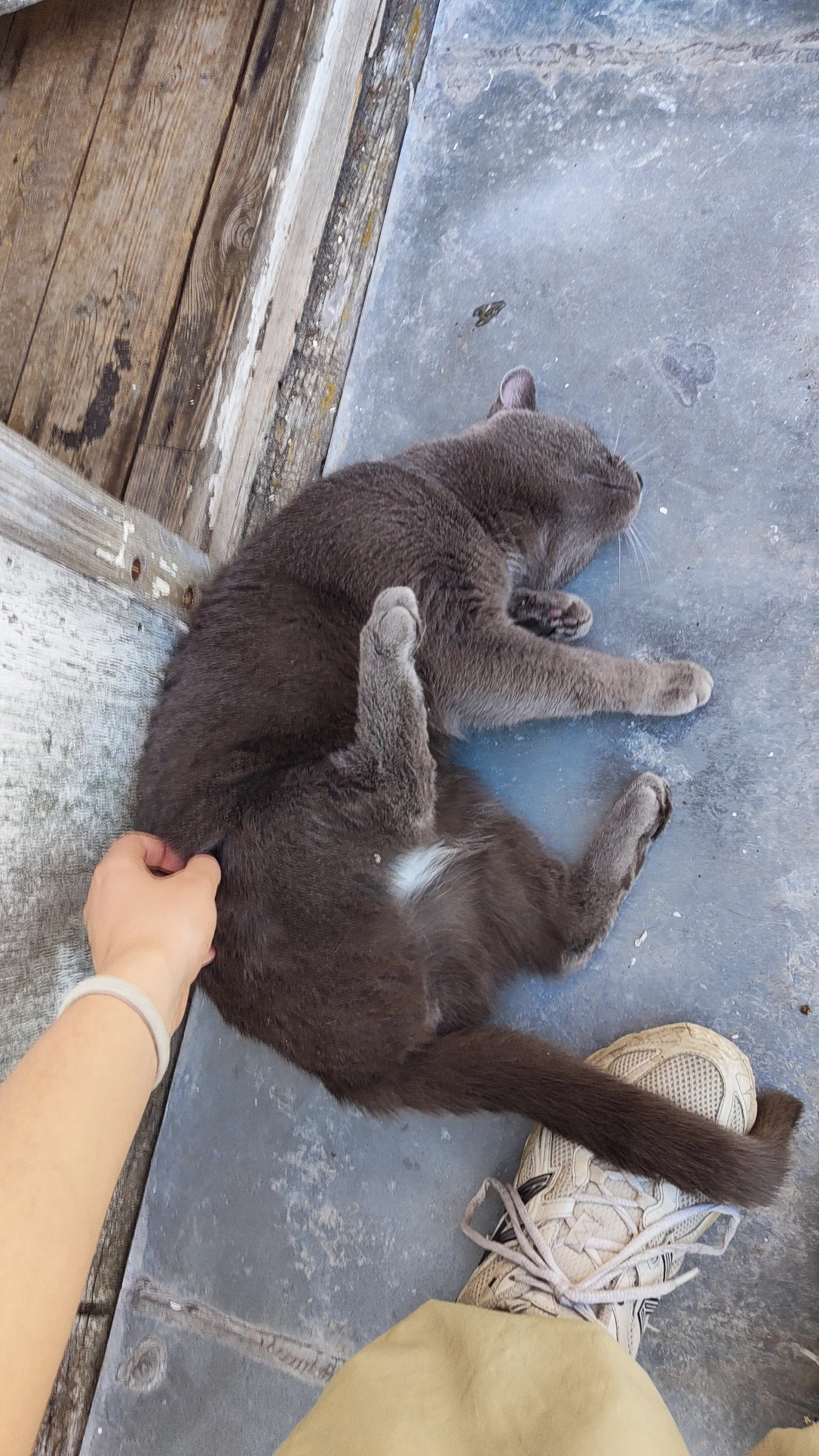 image-7