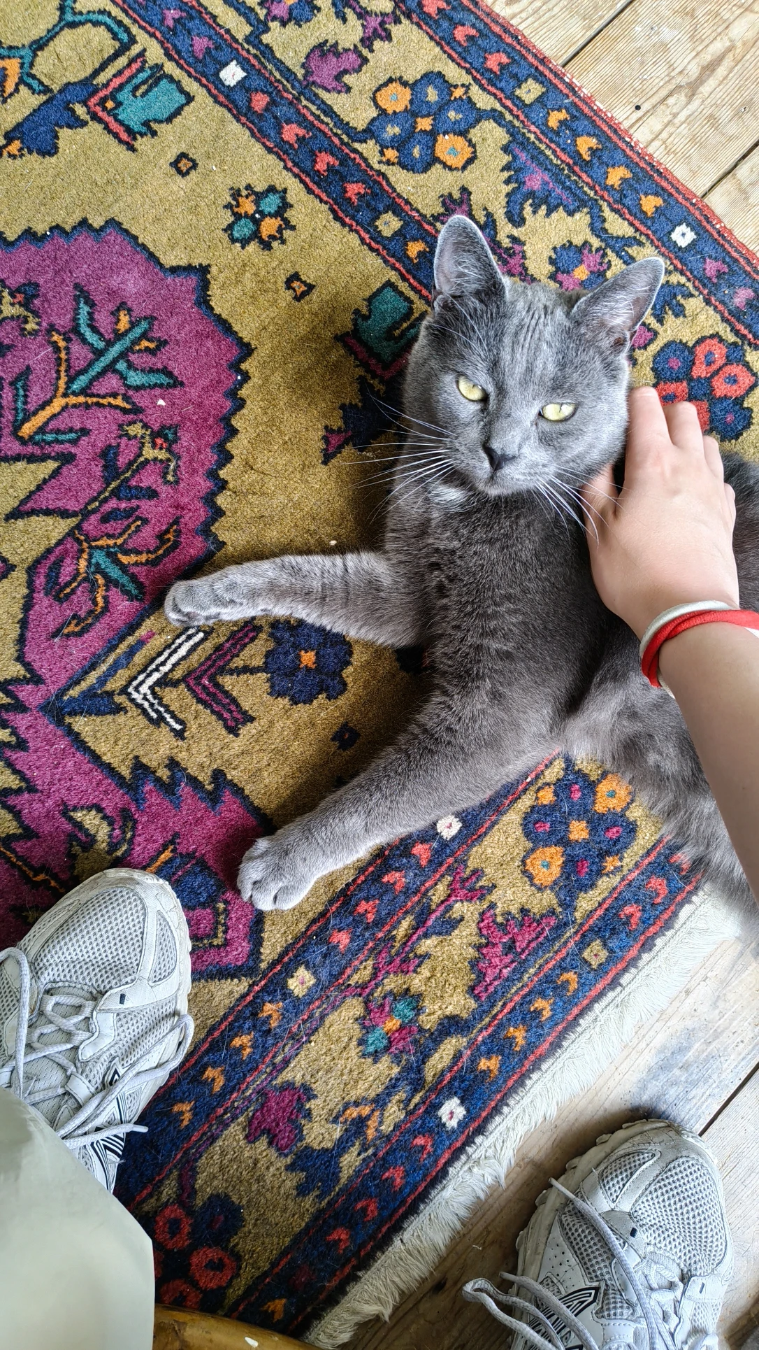 image-8