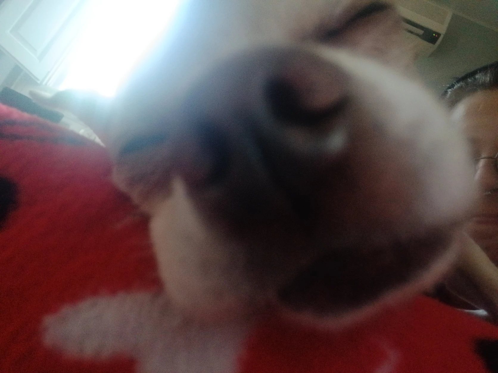 image-8