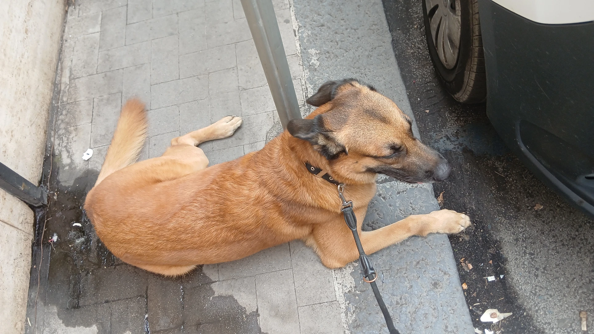 image-15