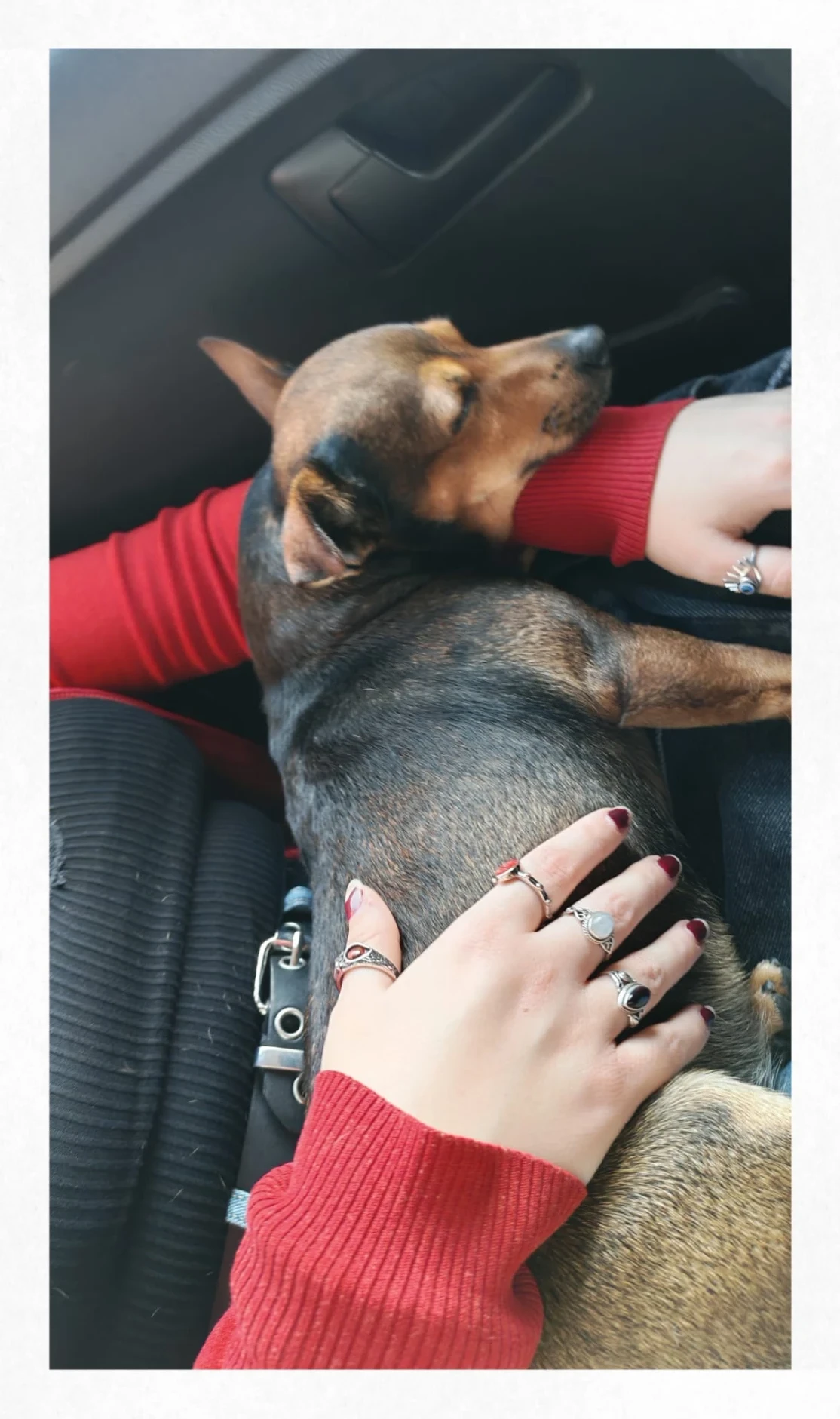 image-8