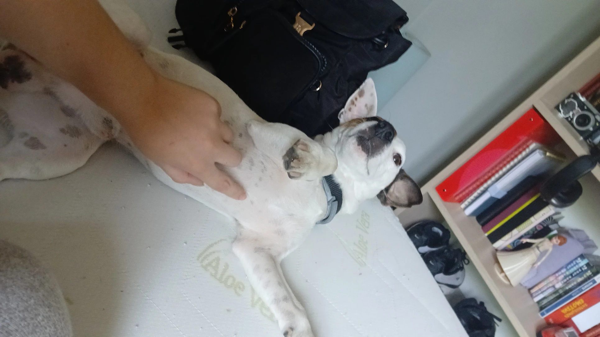 image-5