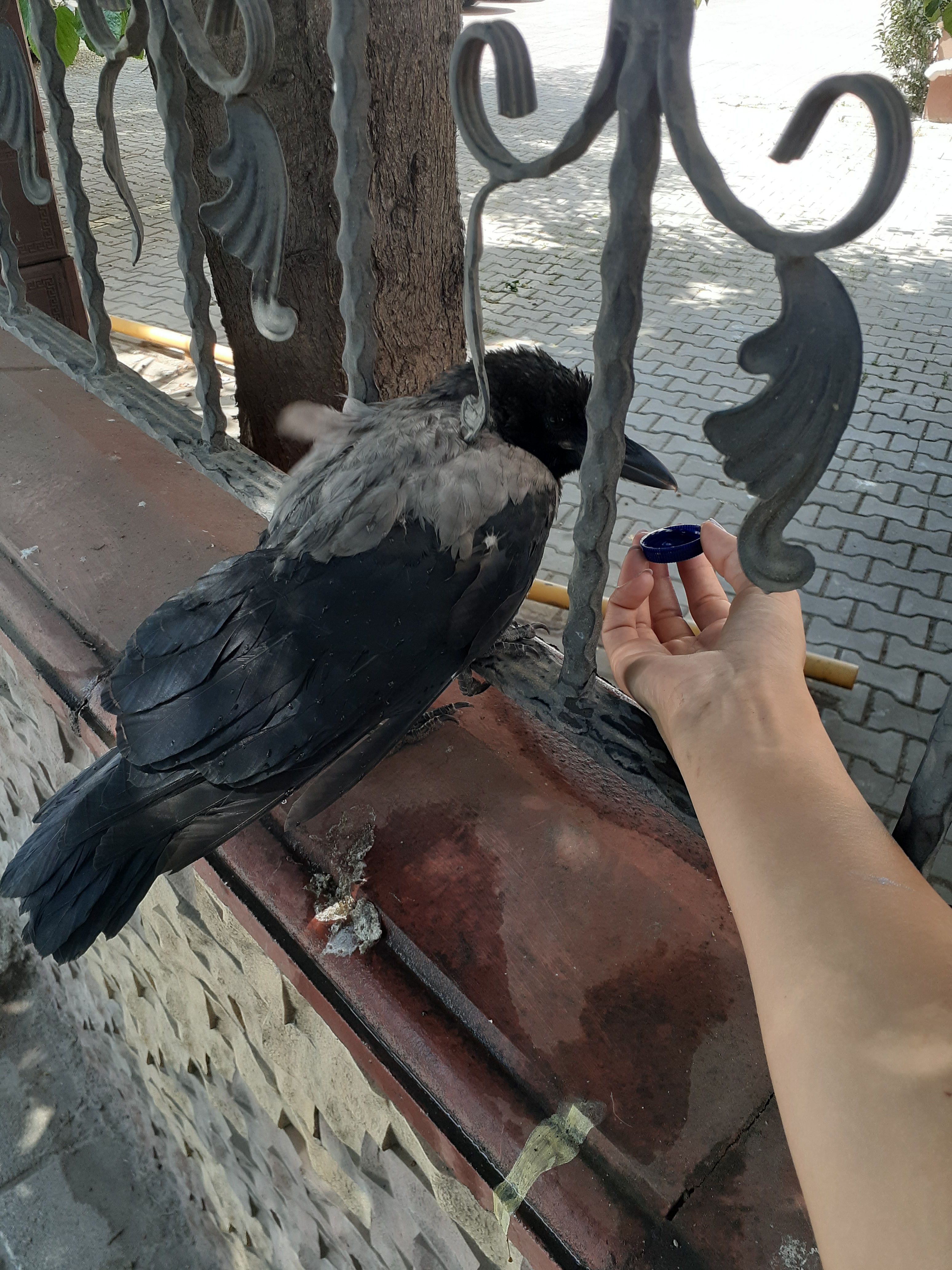 image-11