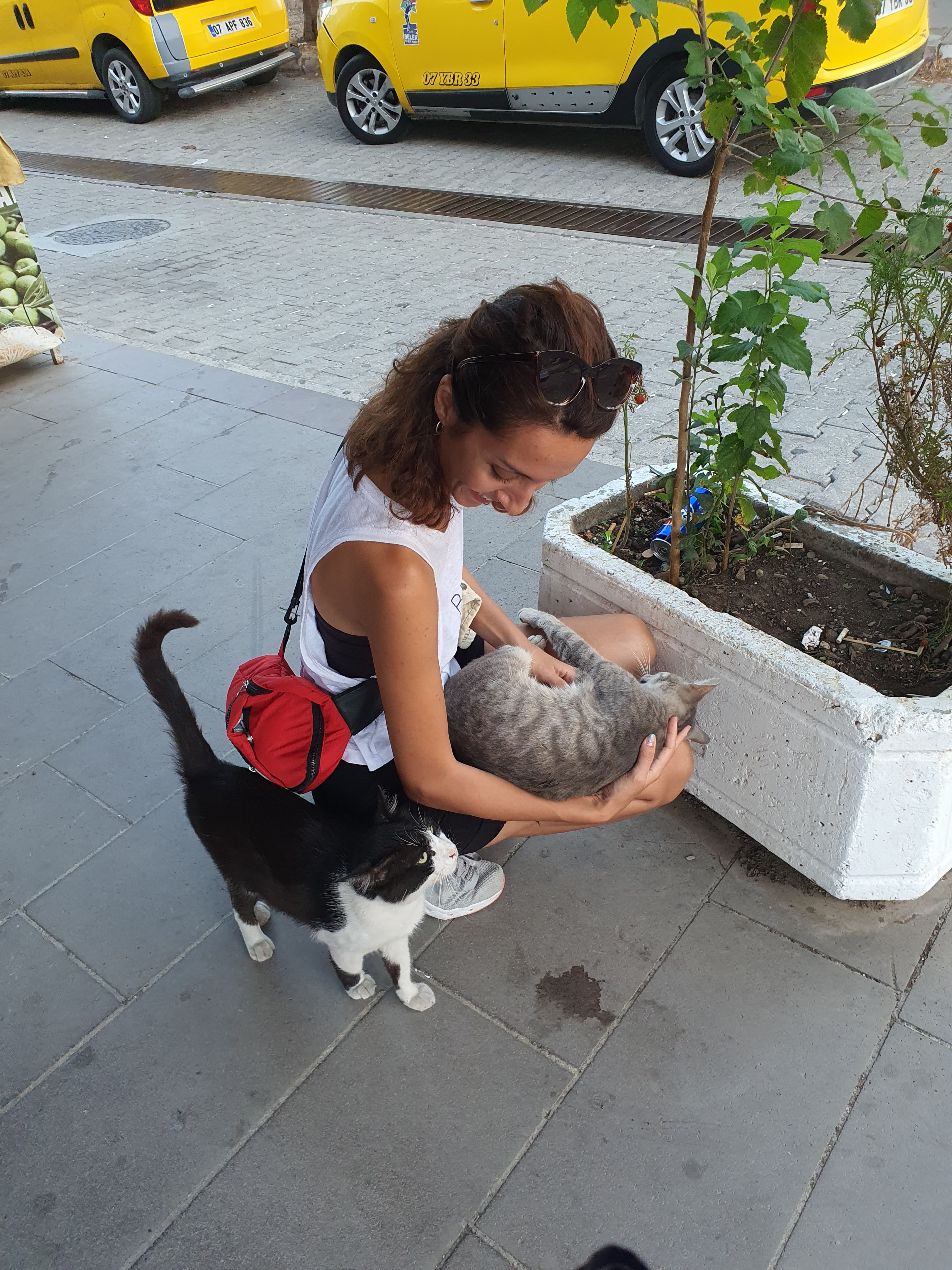 image-18