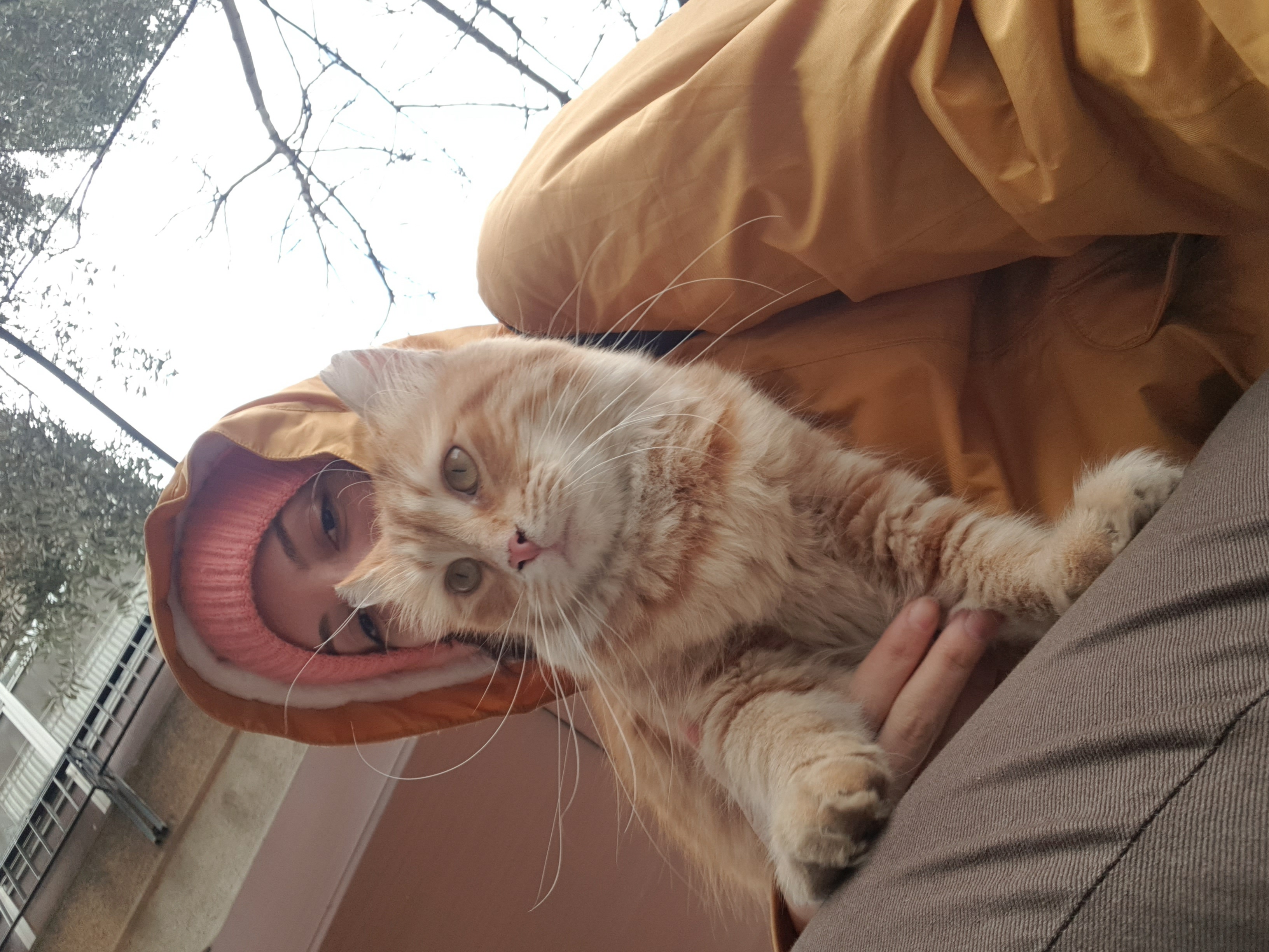 image-8
