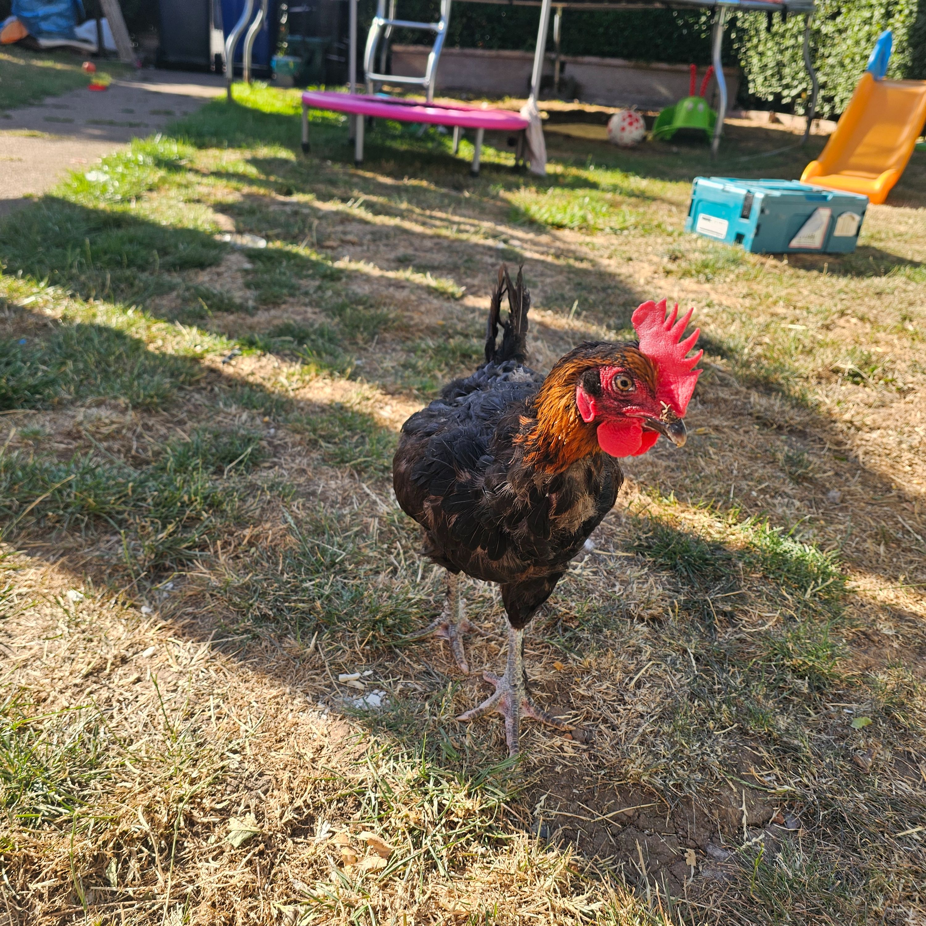 Margaret 