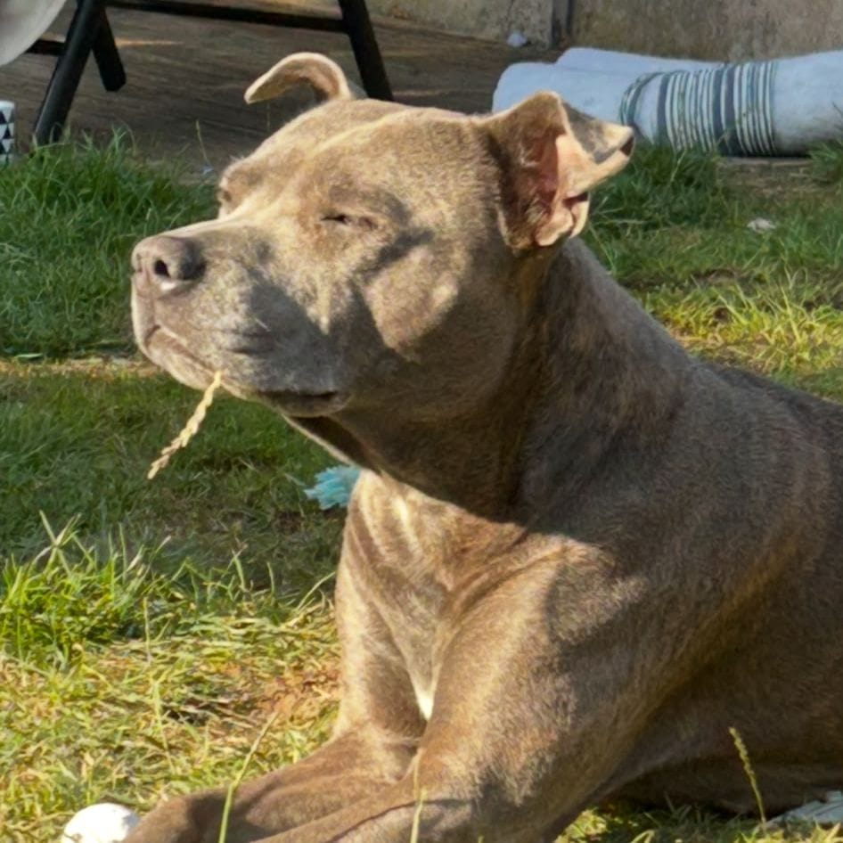 Luna