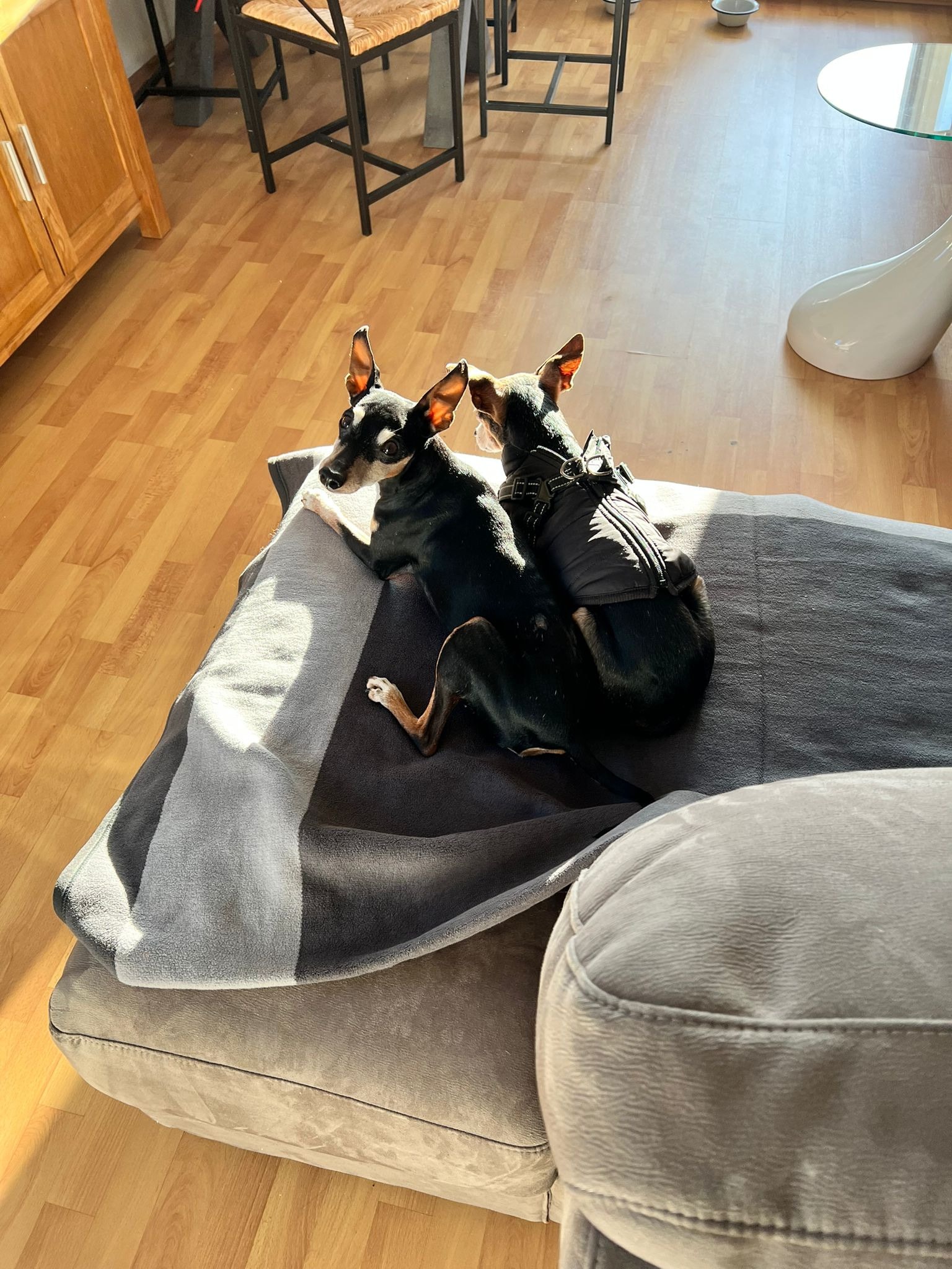 image-7