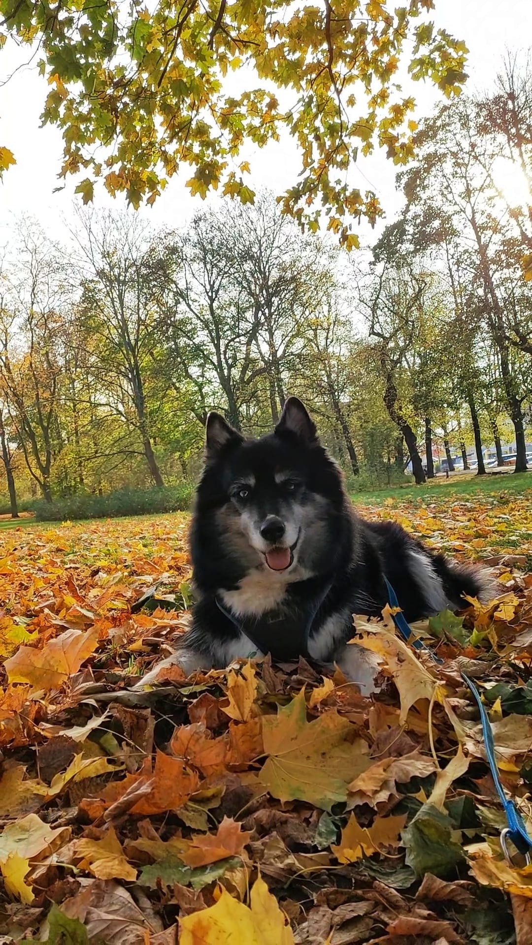 image-8