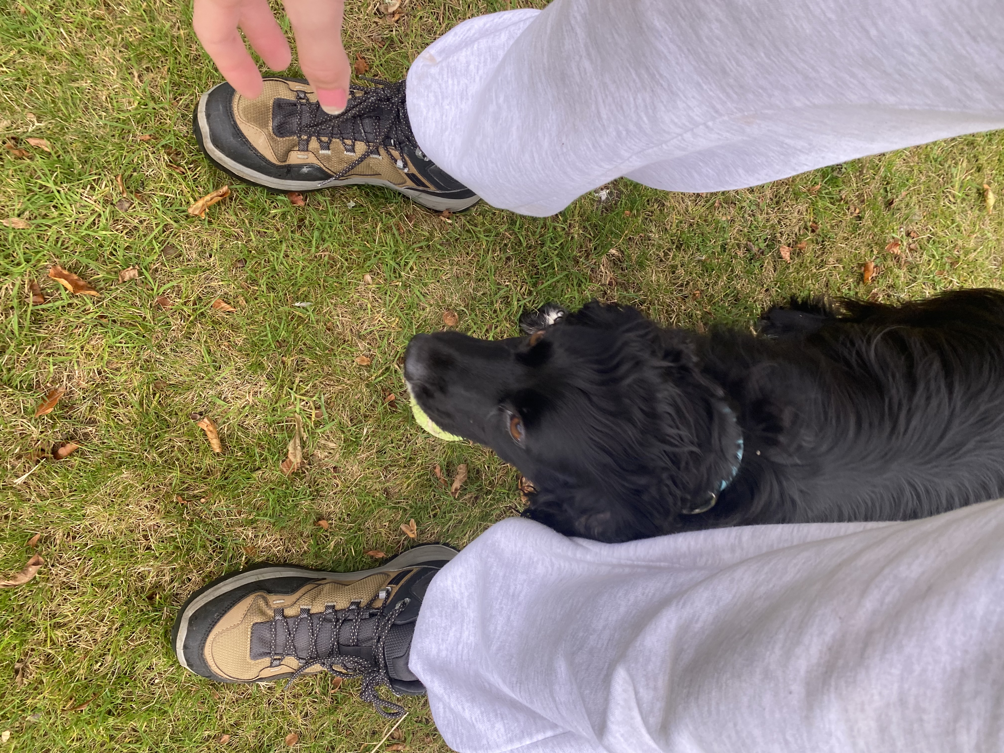 image-5