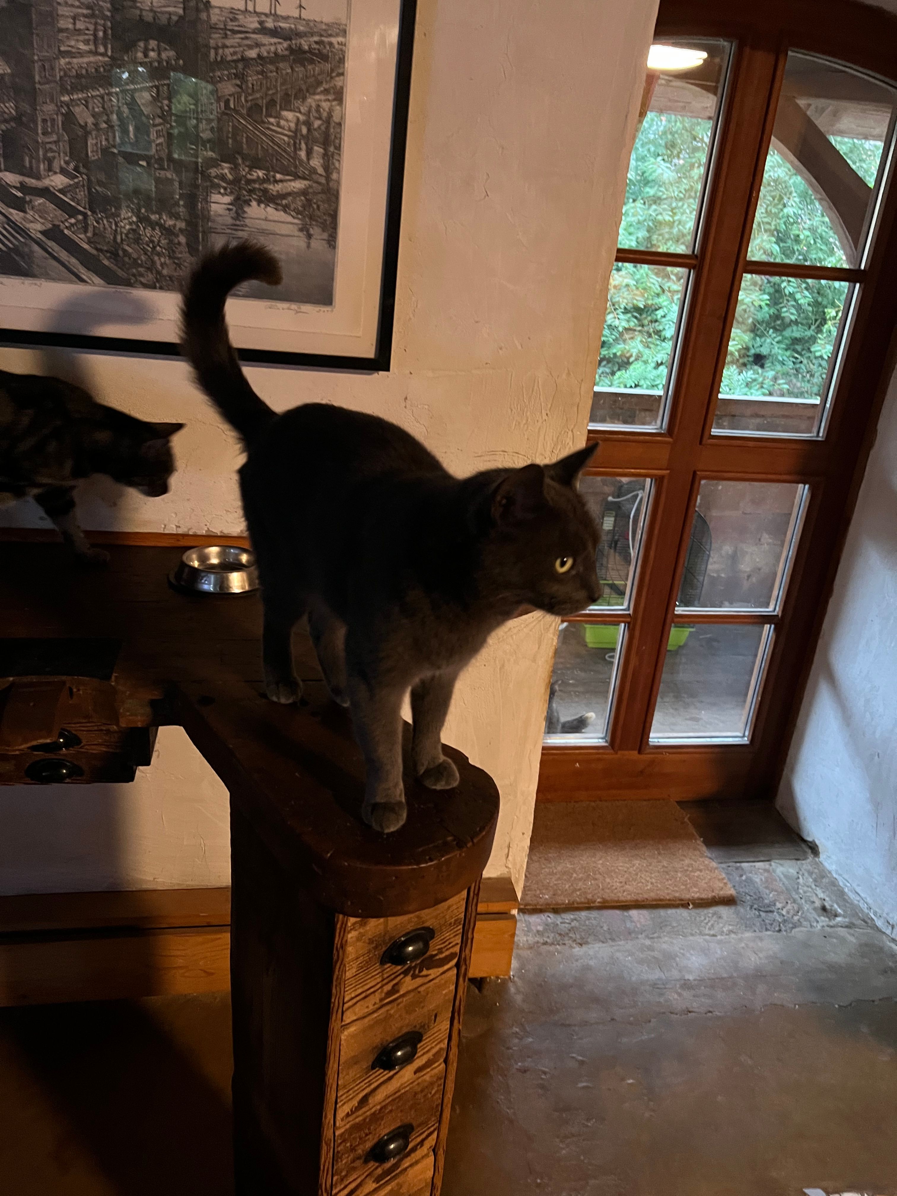 image-14