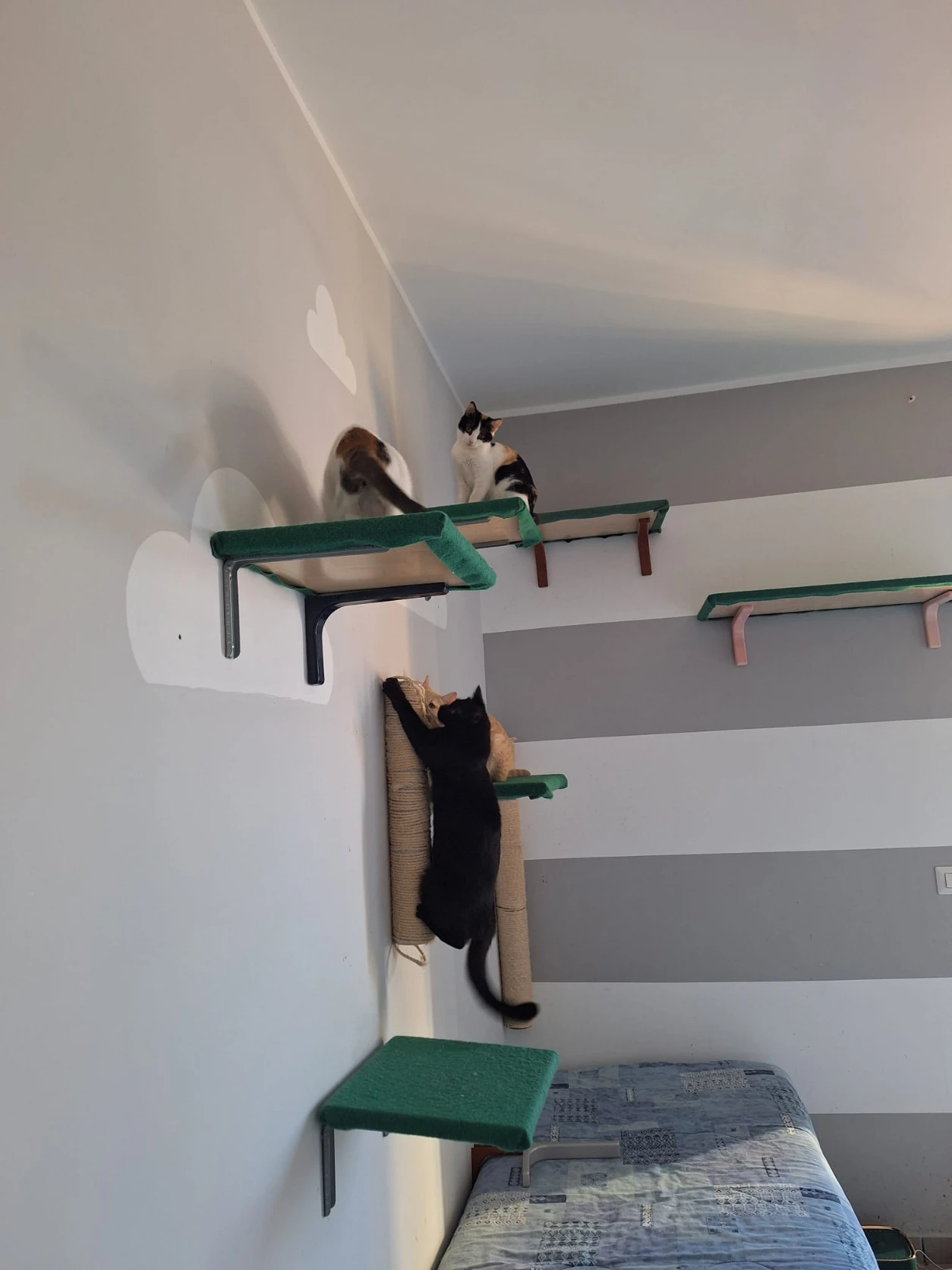 image-8