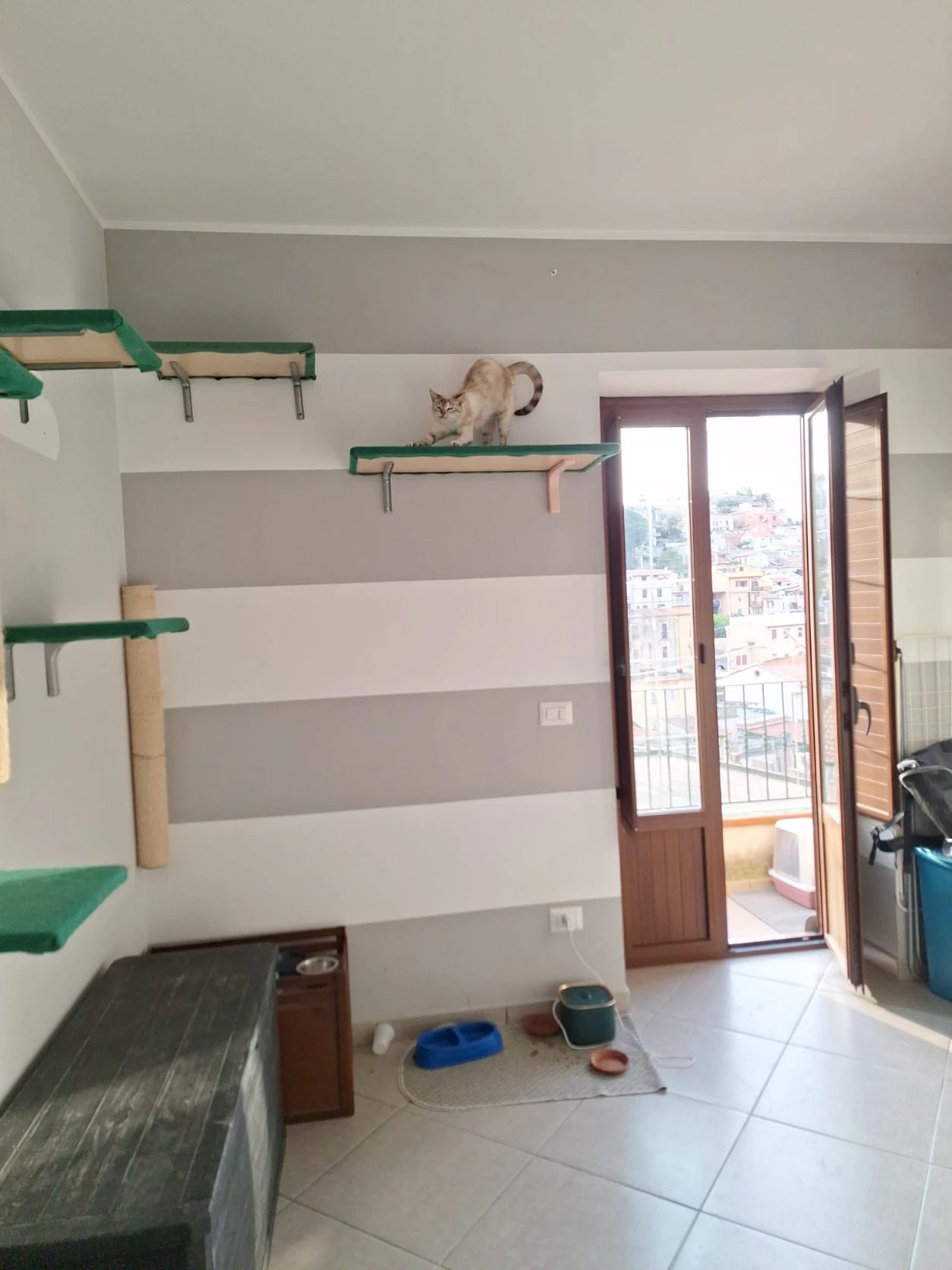 image-10