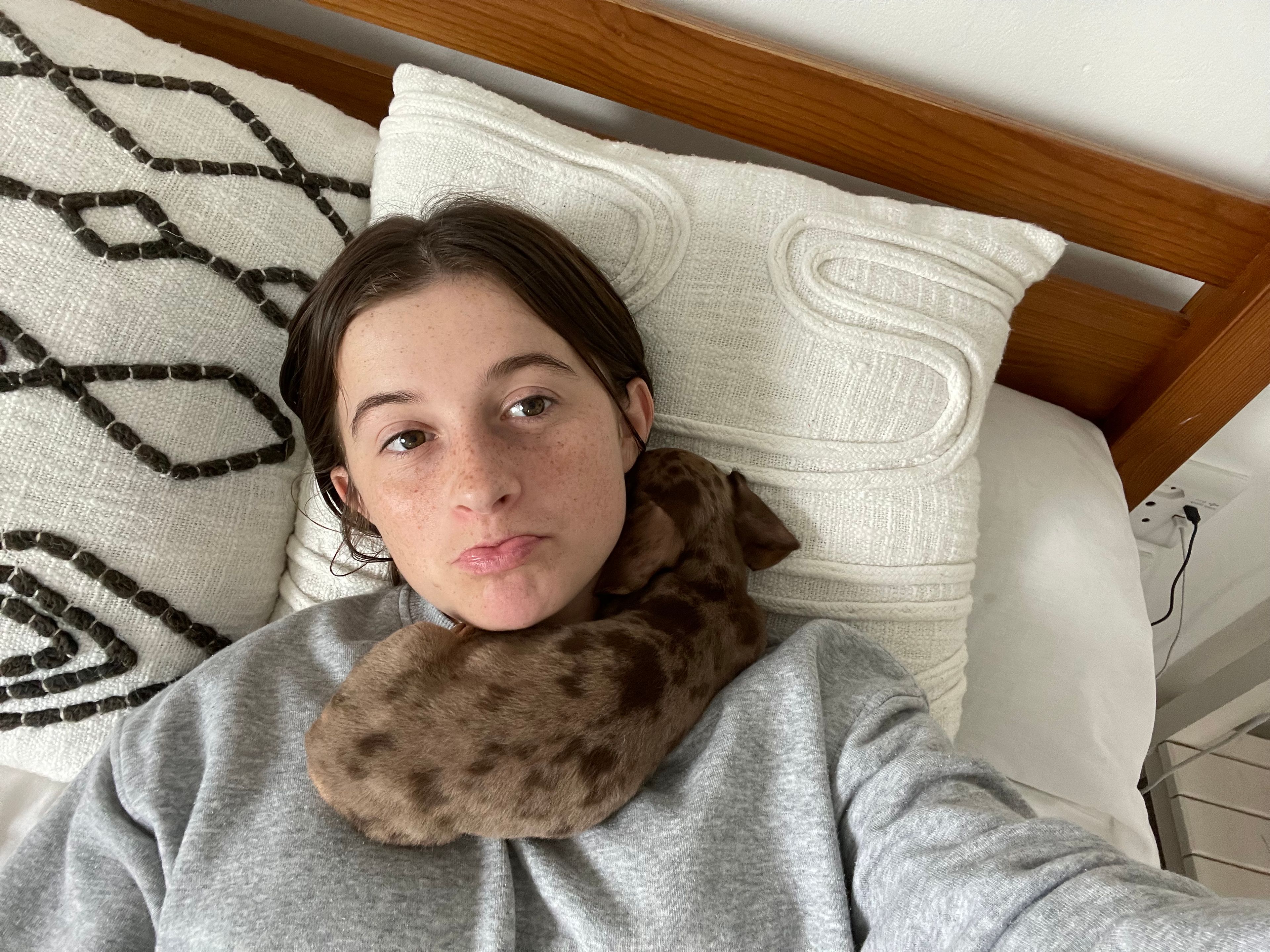 image-6