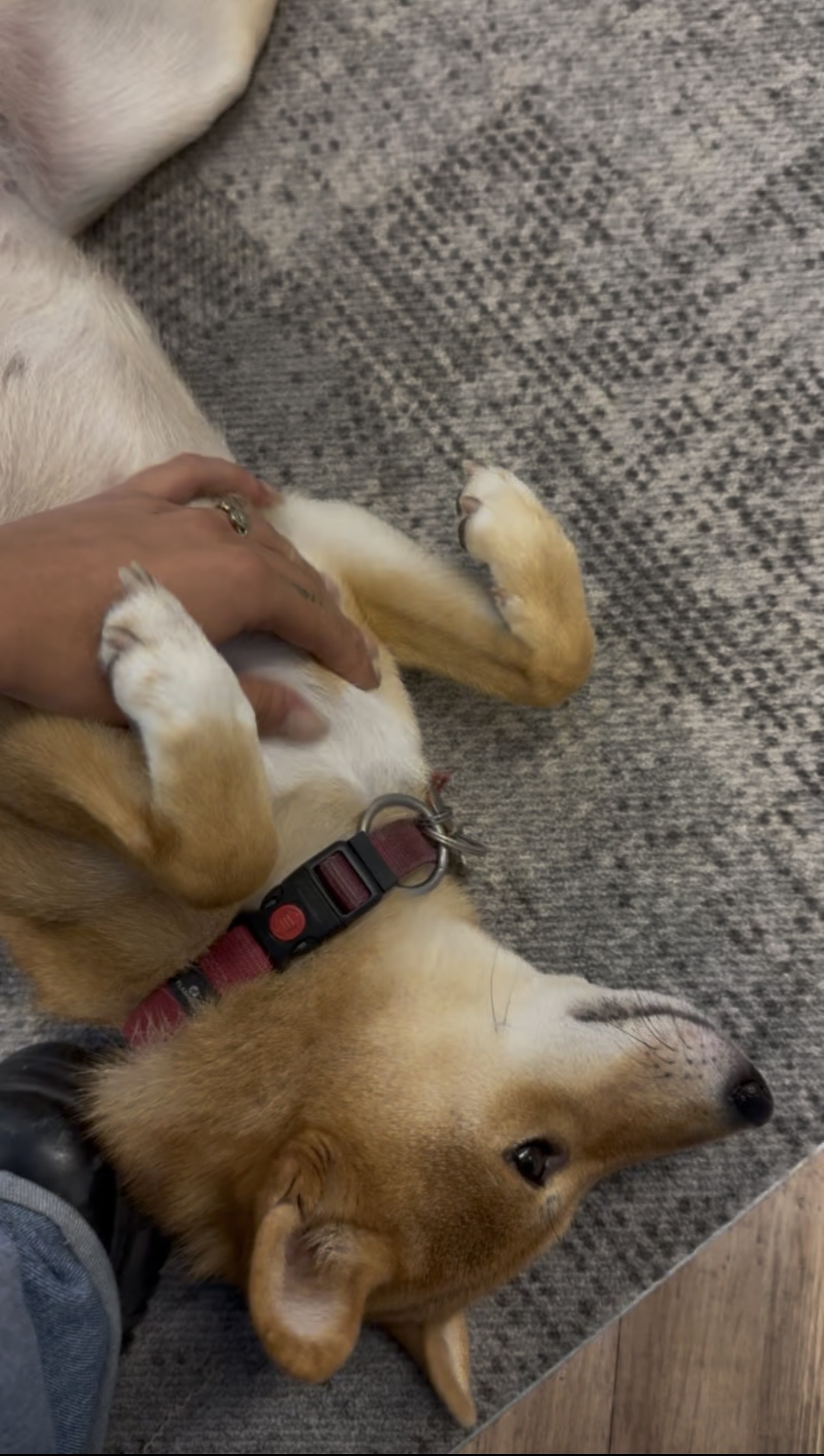image-9