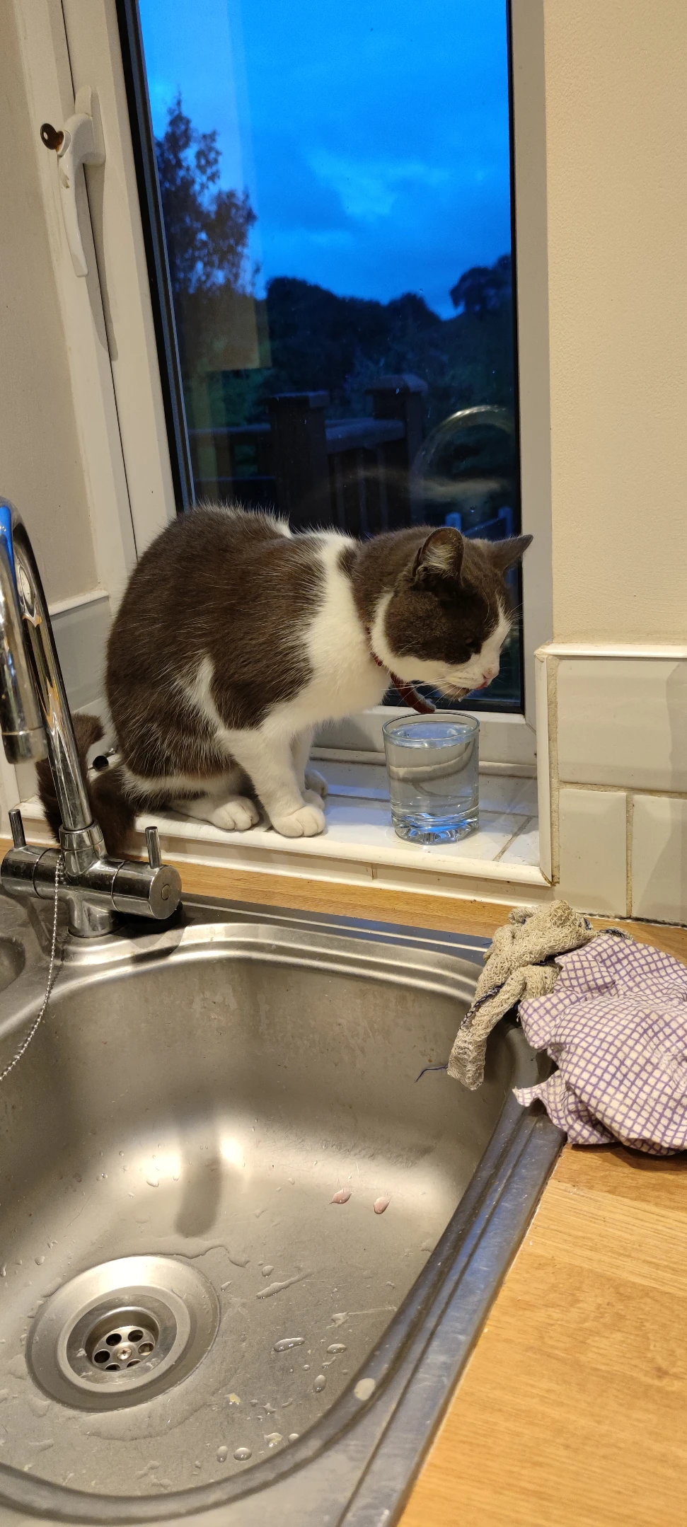 image-6