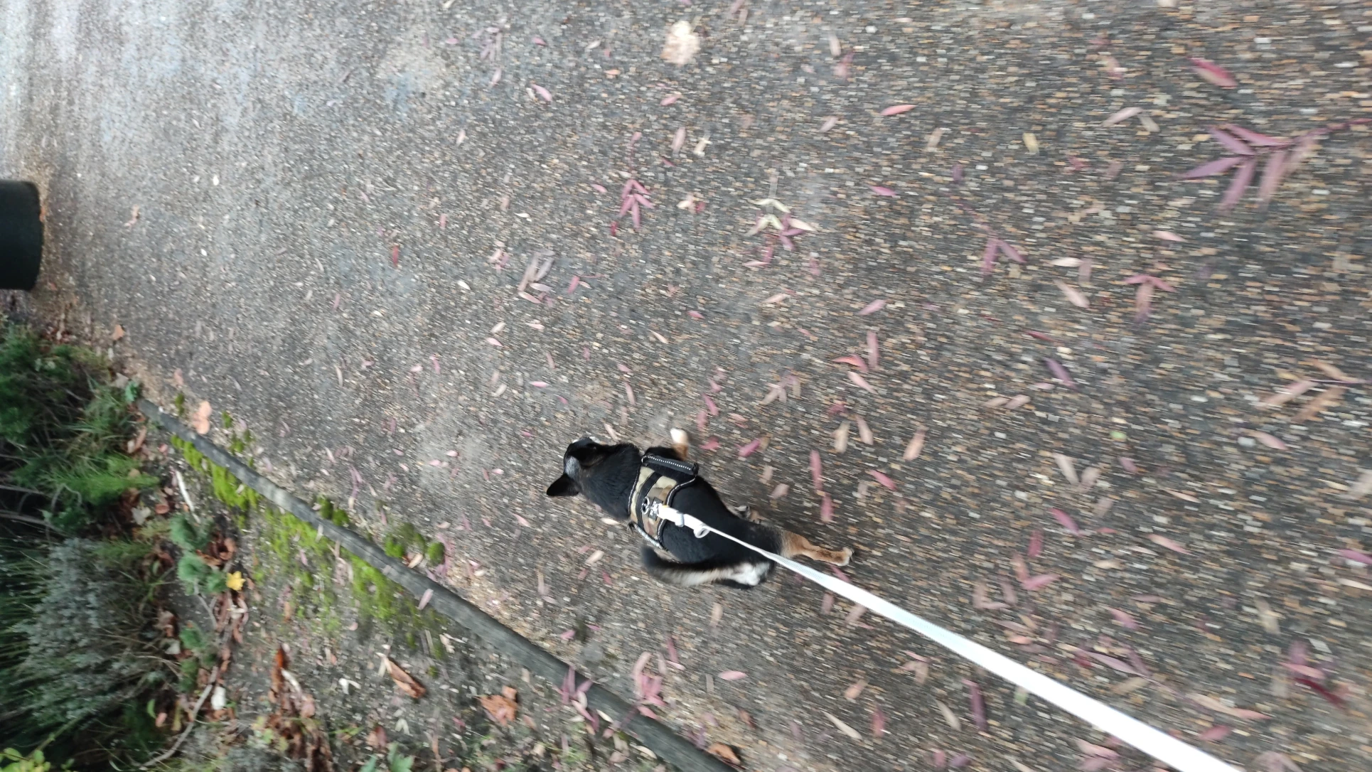 image-5
