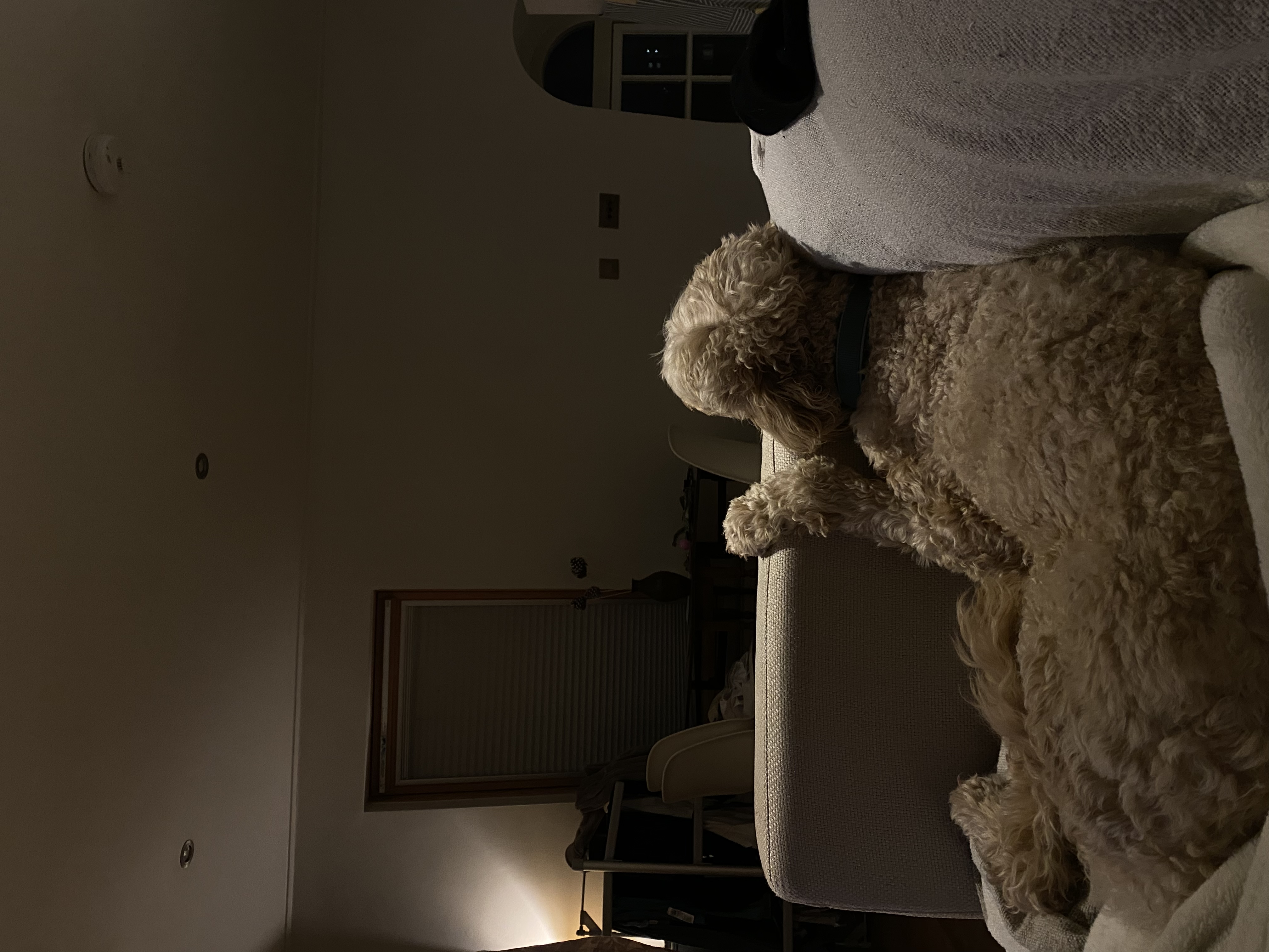 image-6