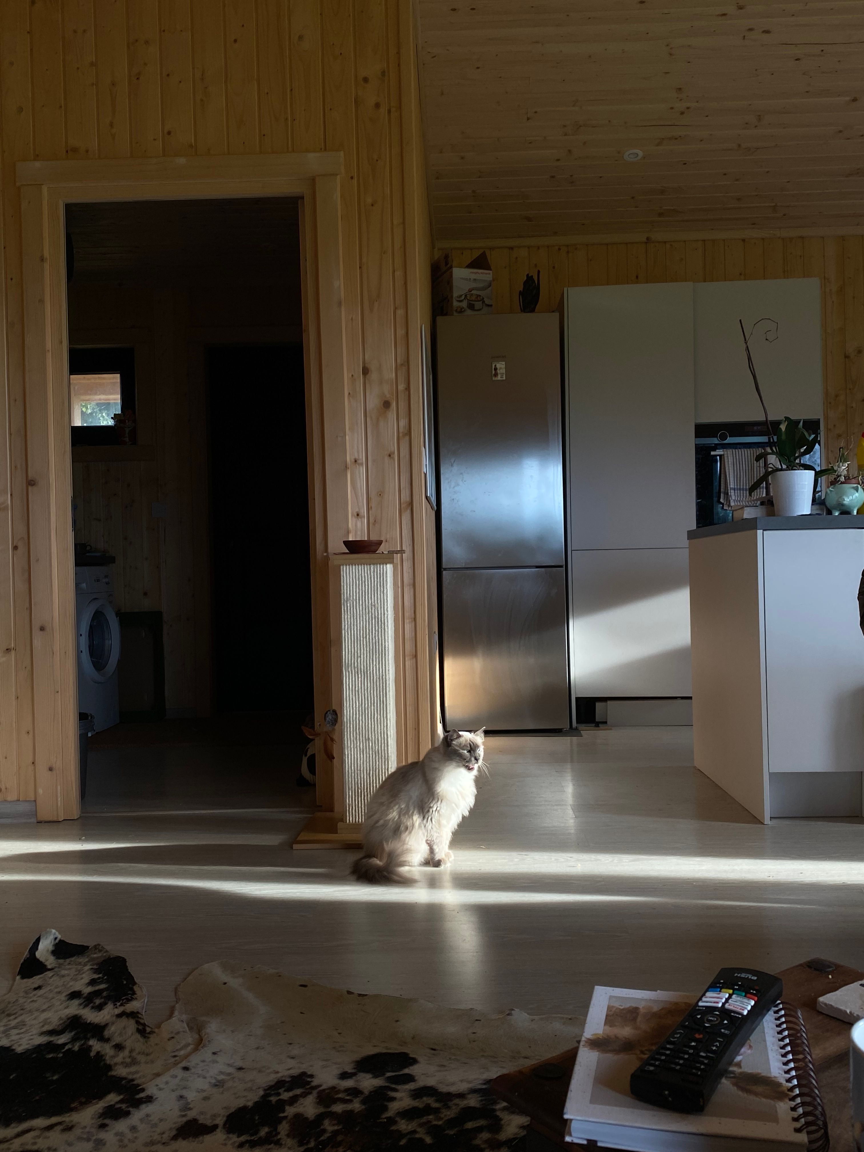 image-7