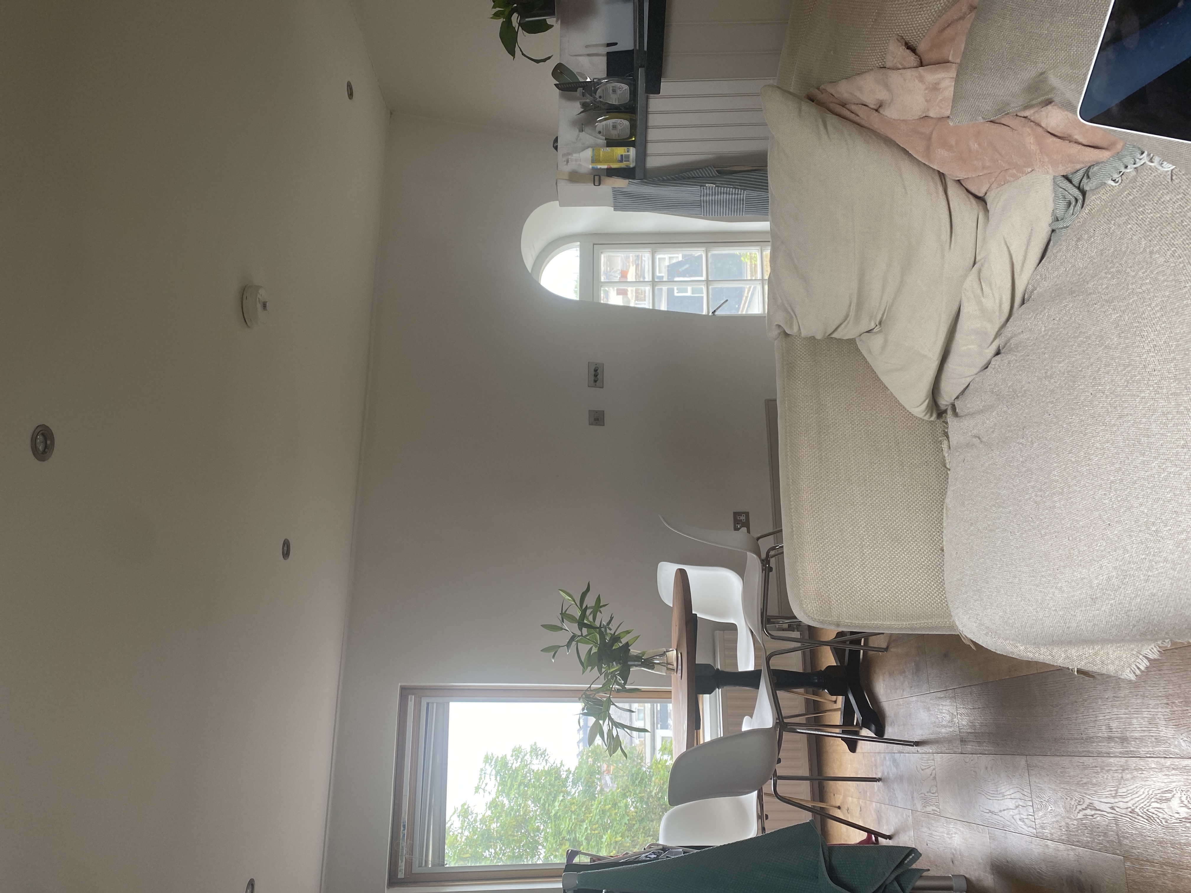 image-19