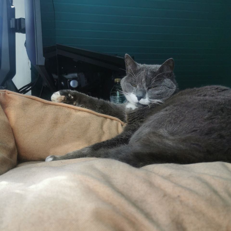 Musya