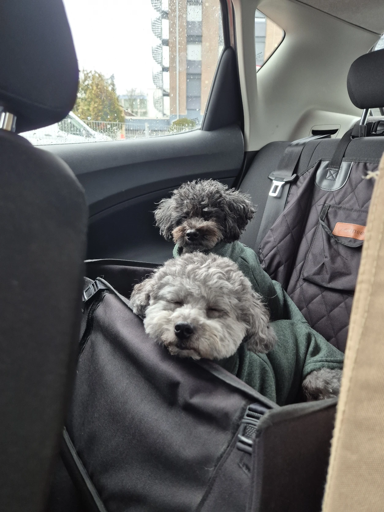 image-9