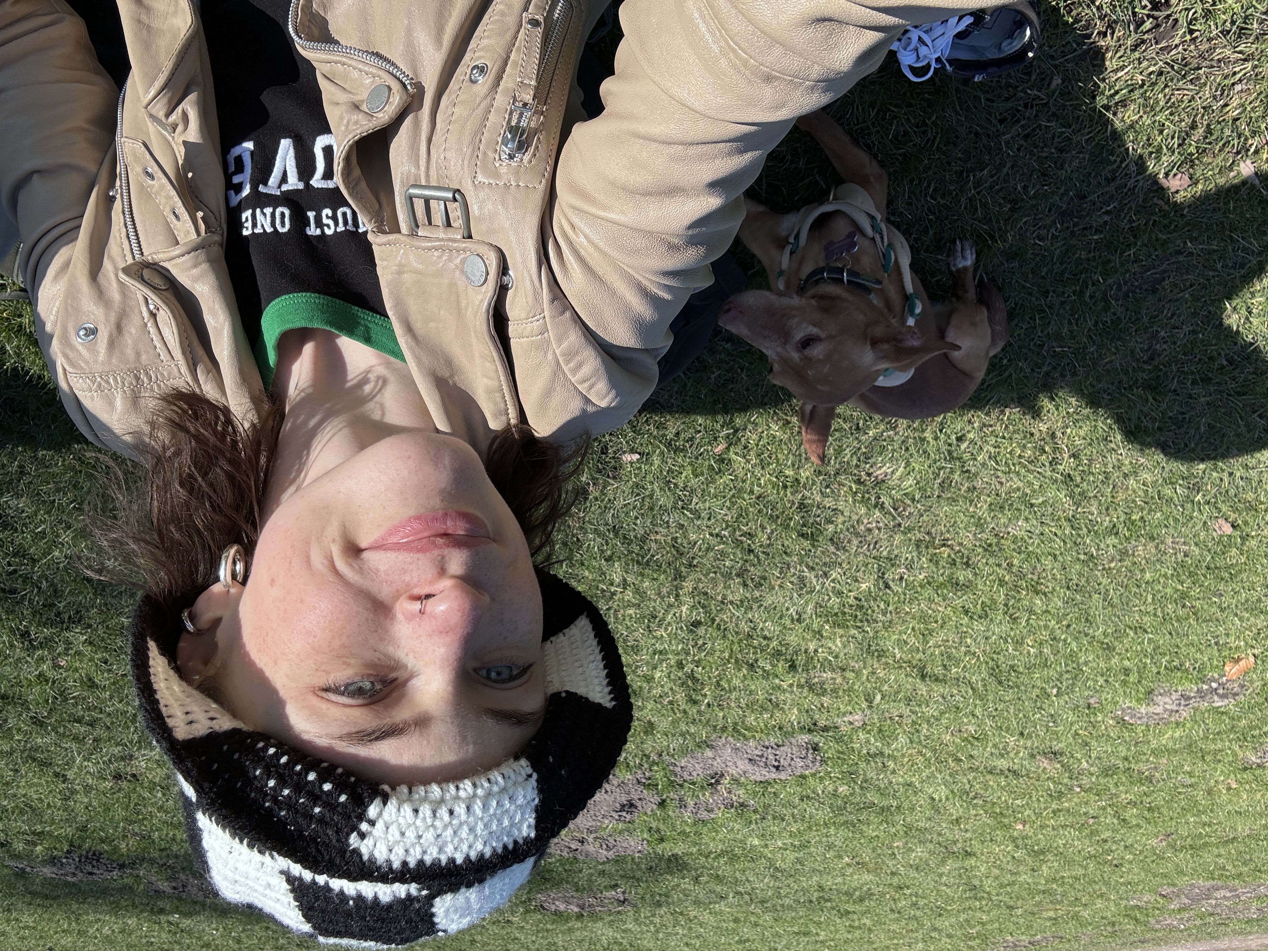 image-8