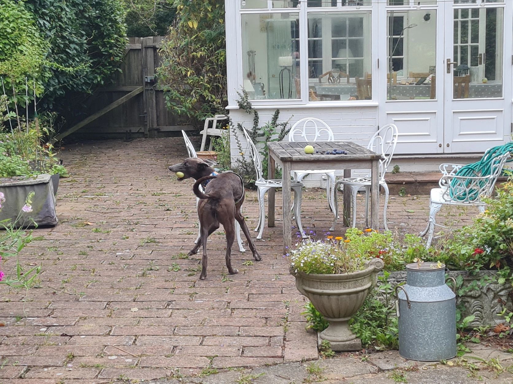 image-14