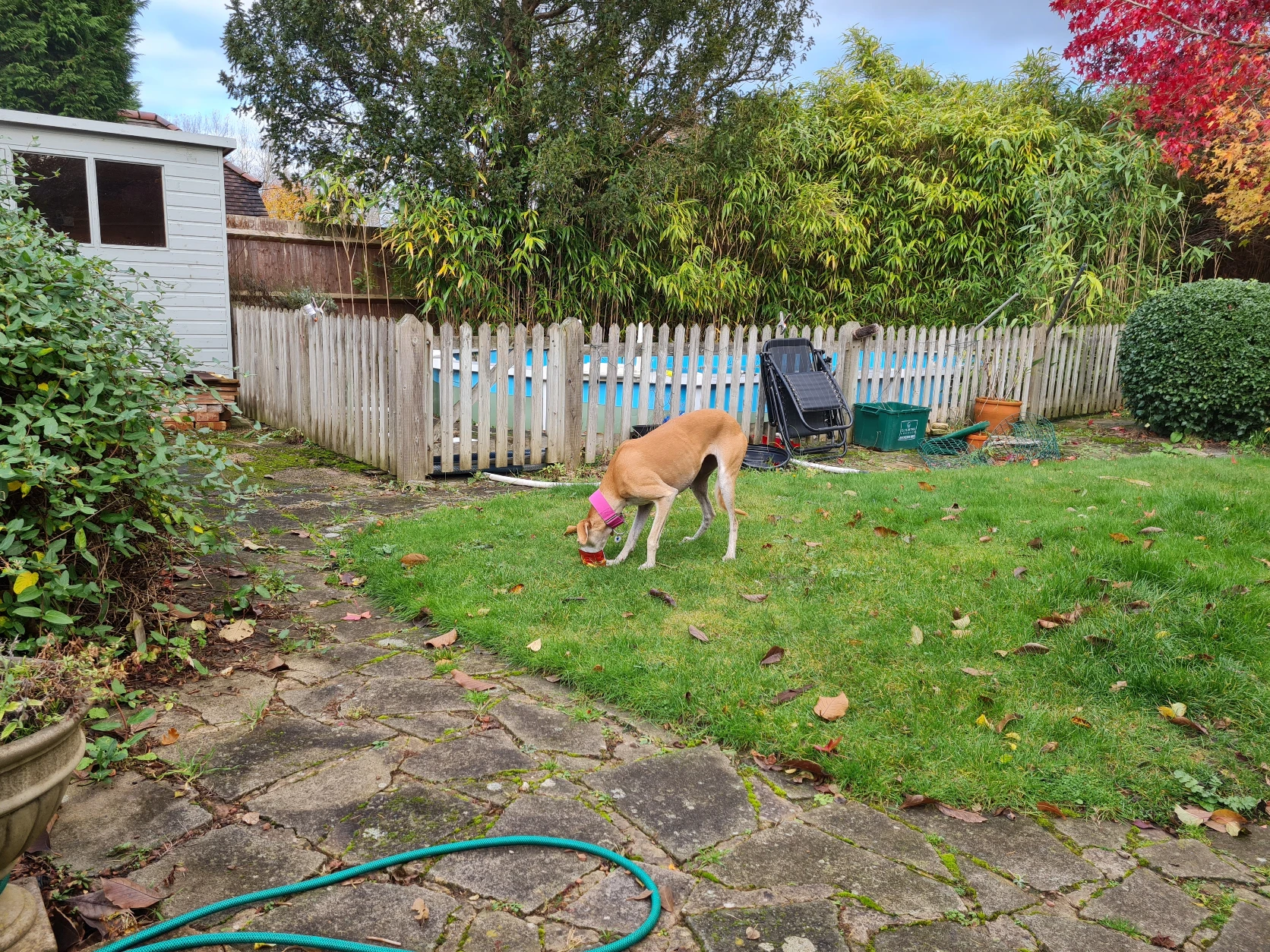 image-10