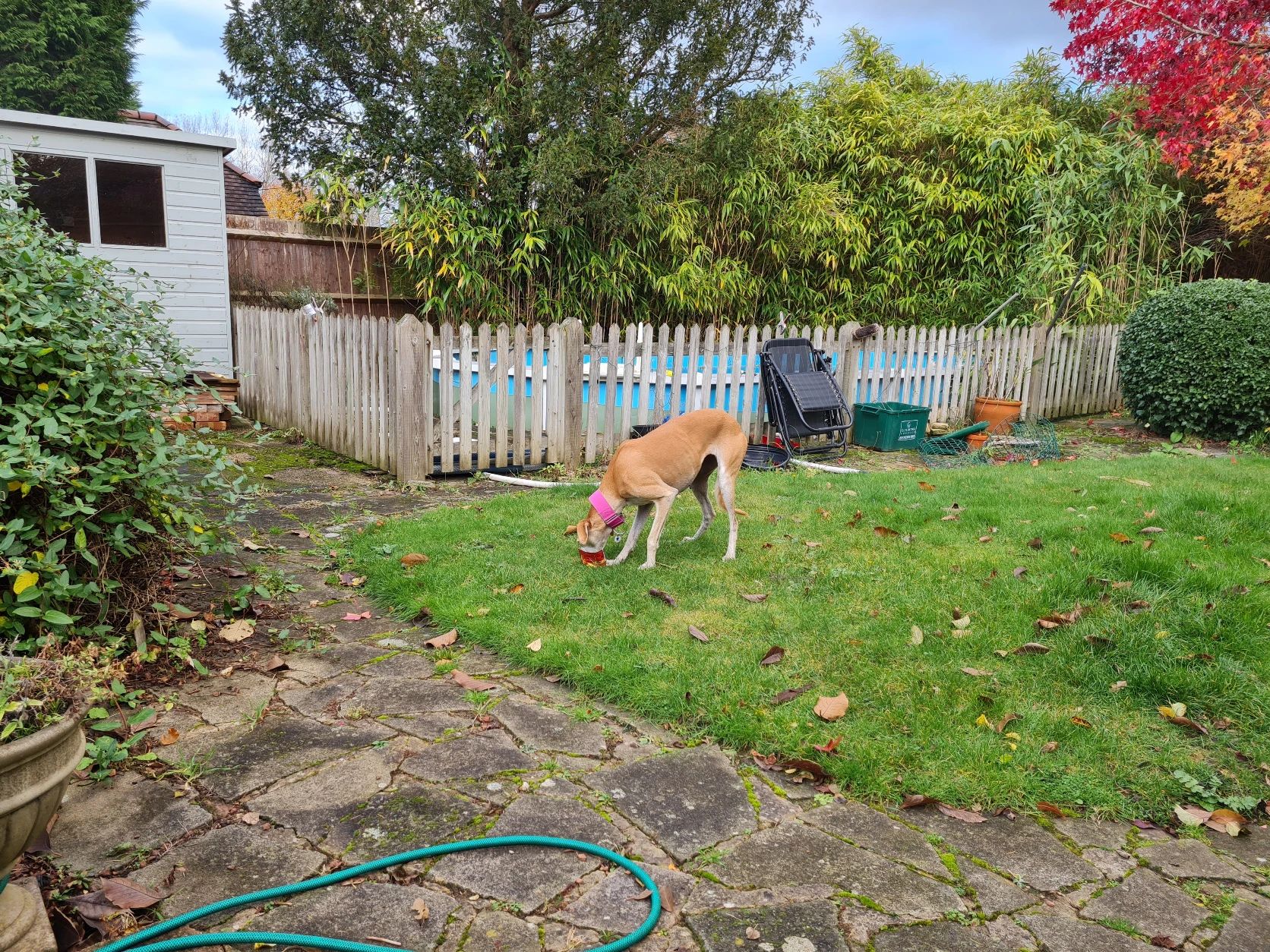 image-10