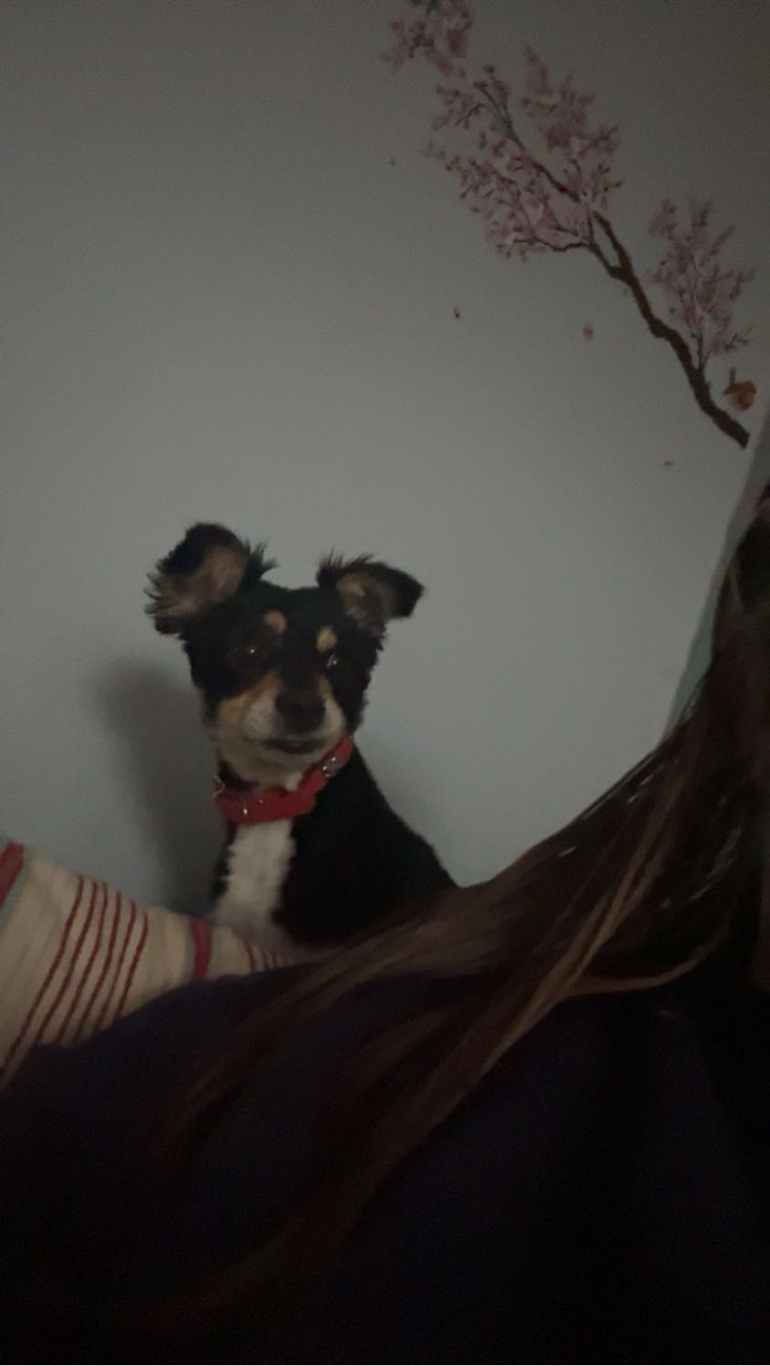 image-8