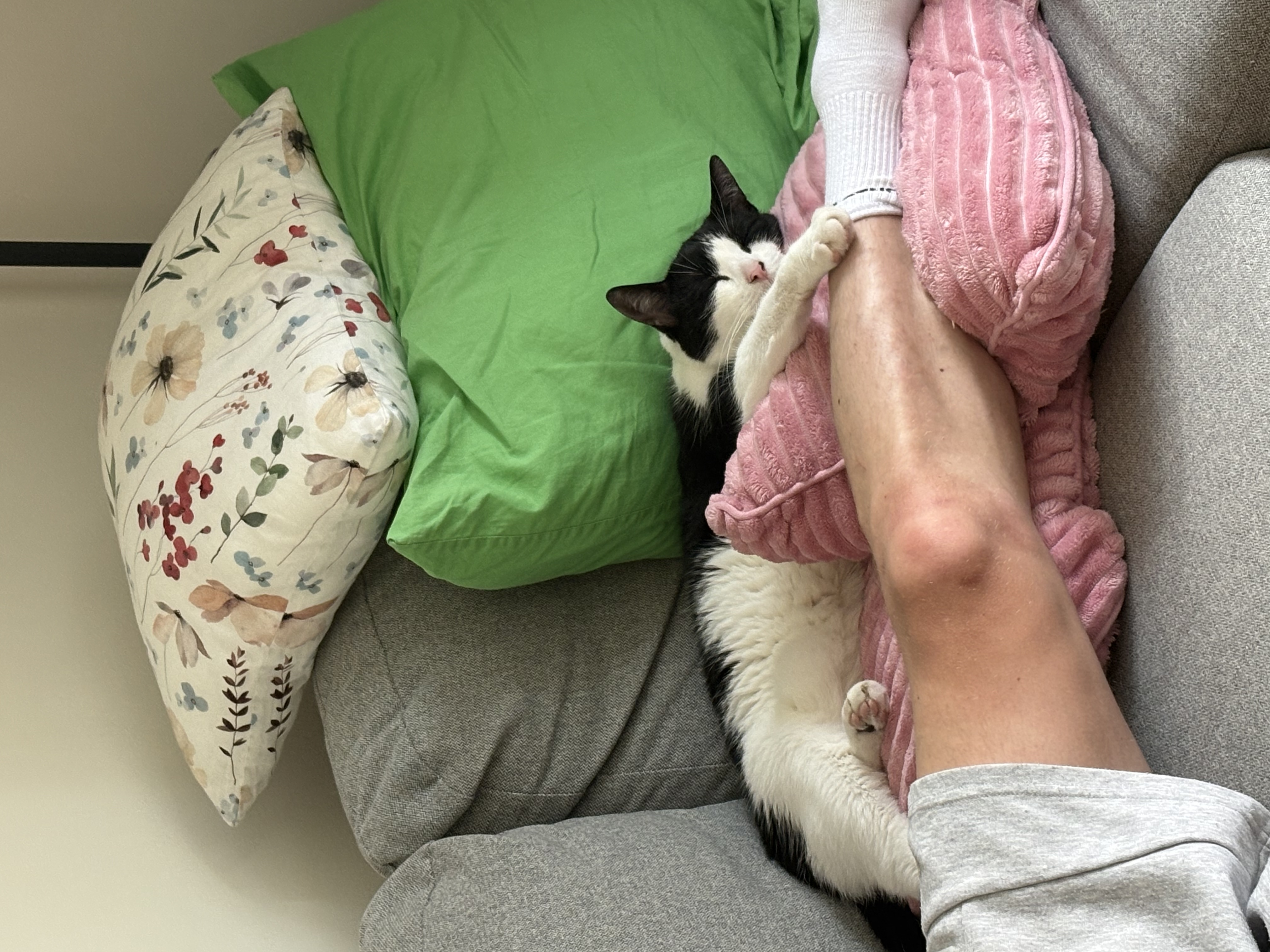 image-14