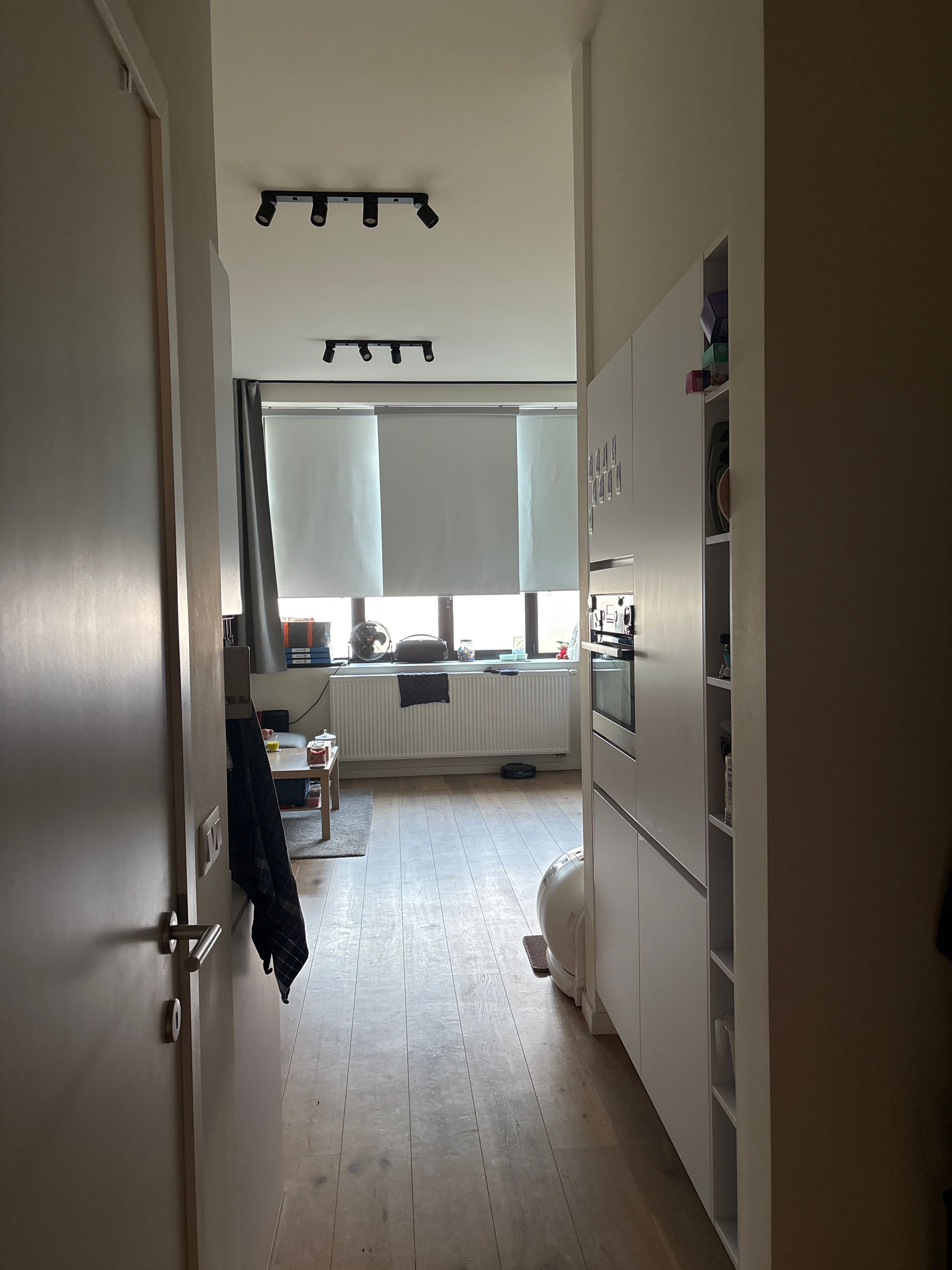 image-19