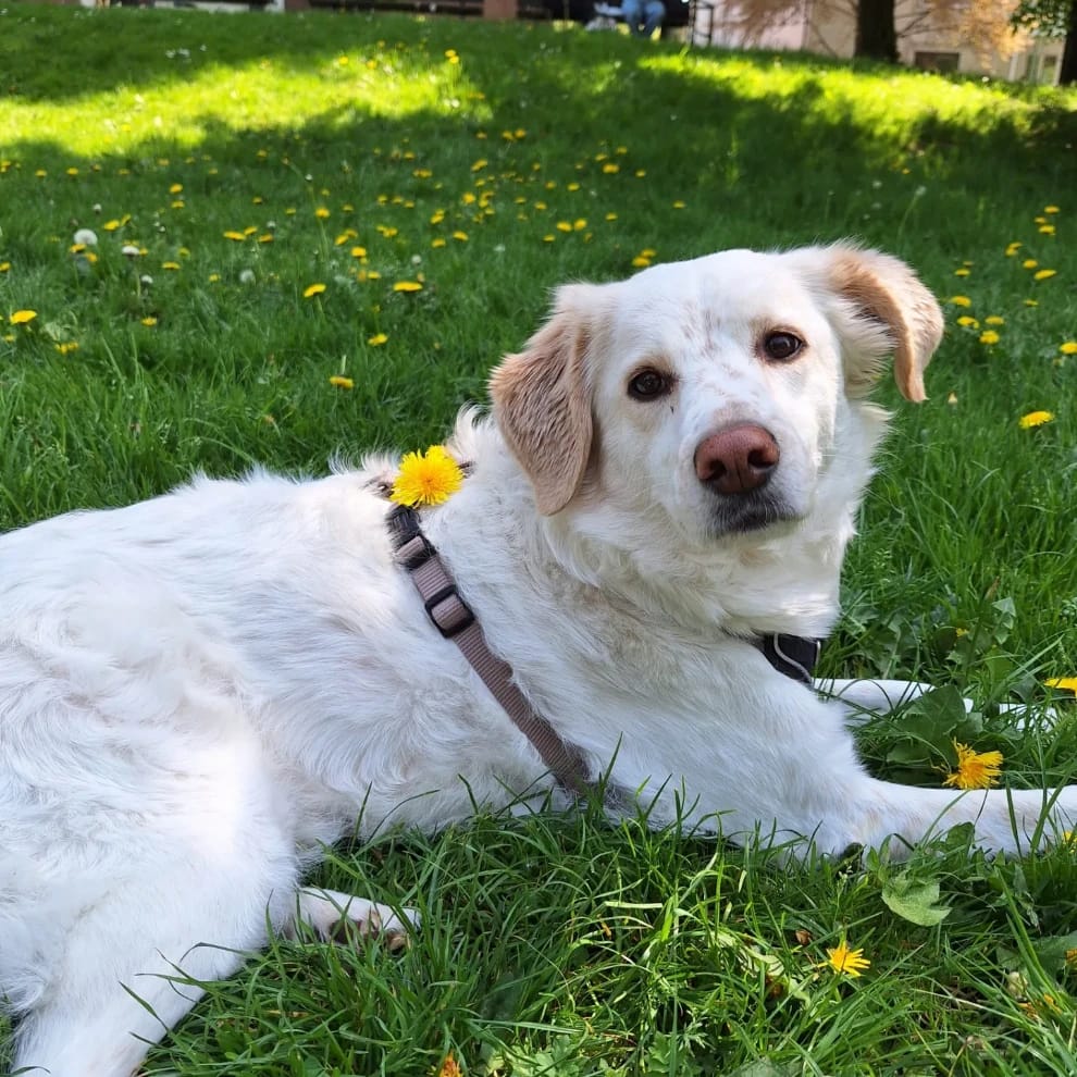 Ellie