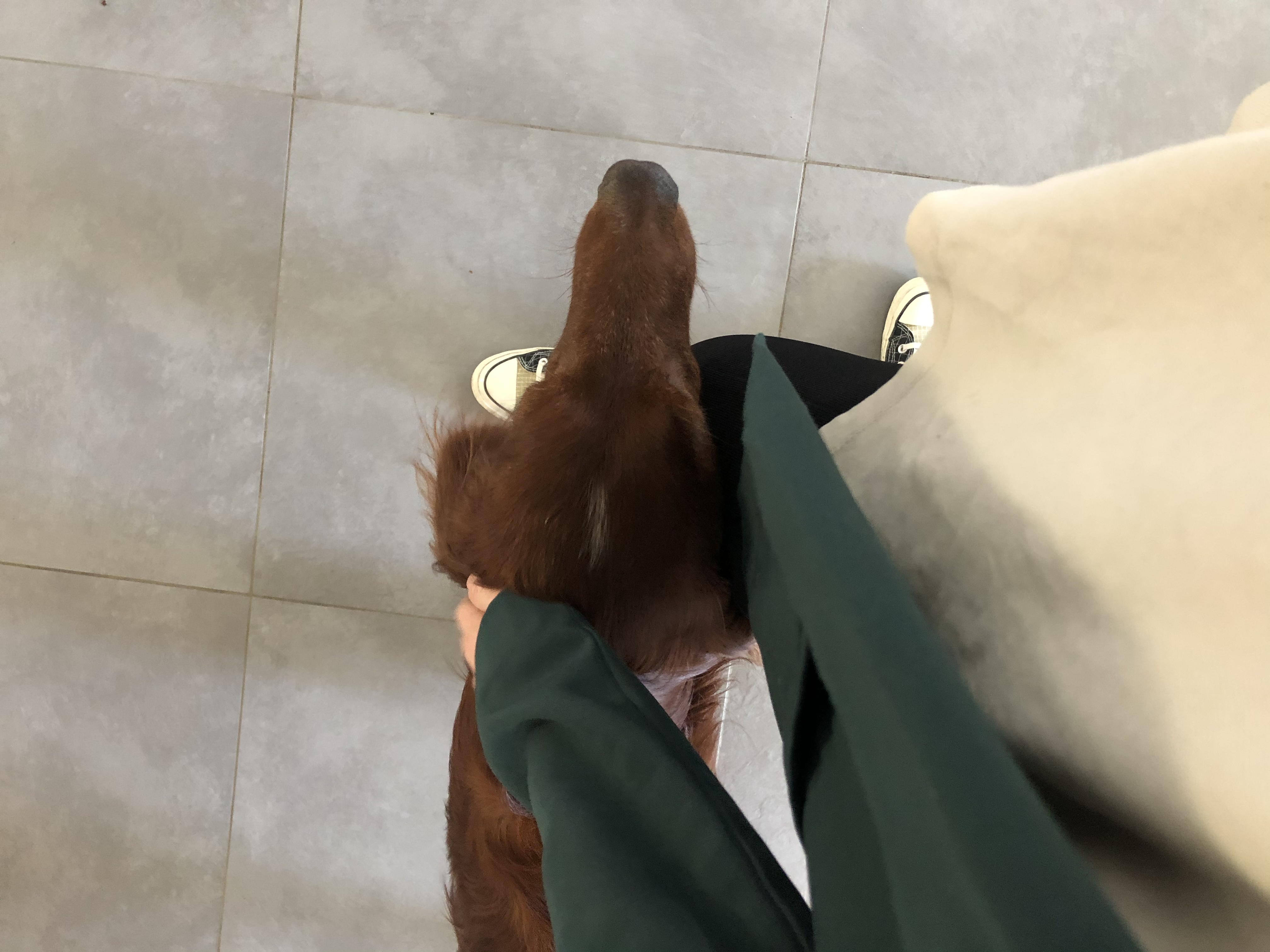 image-7