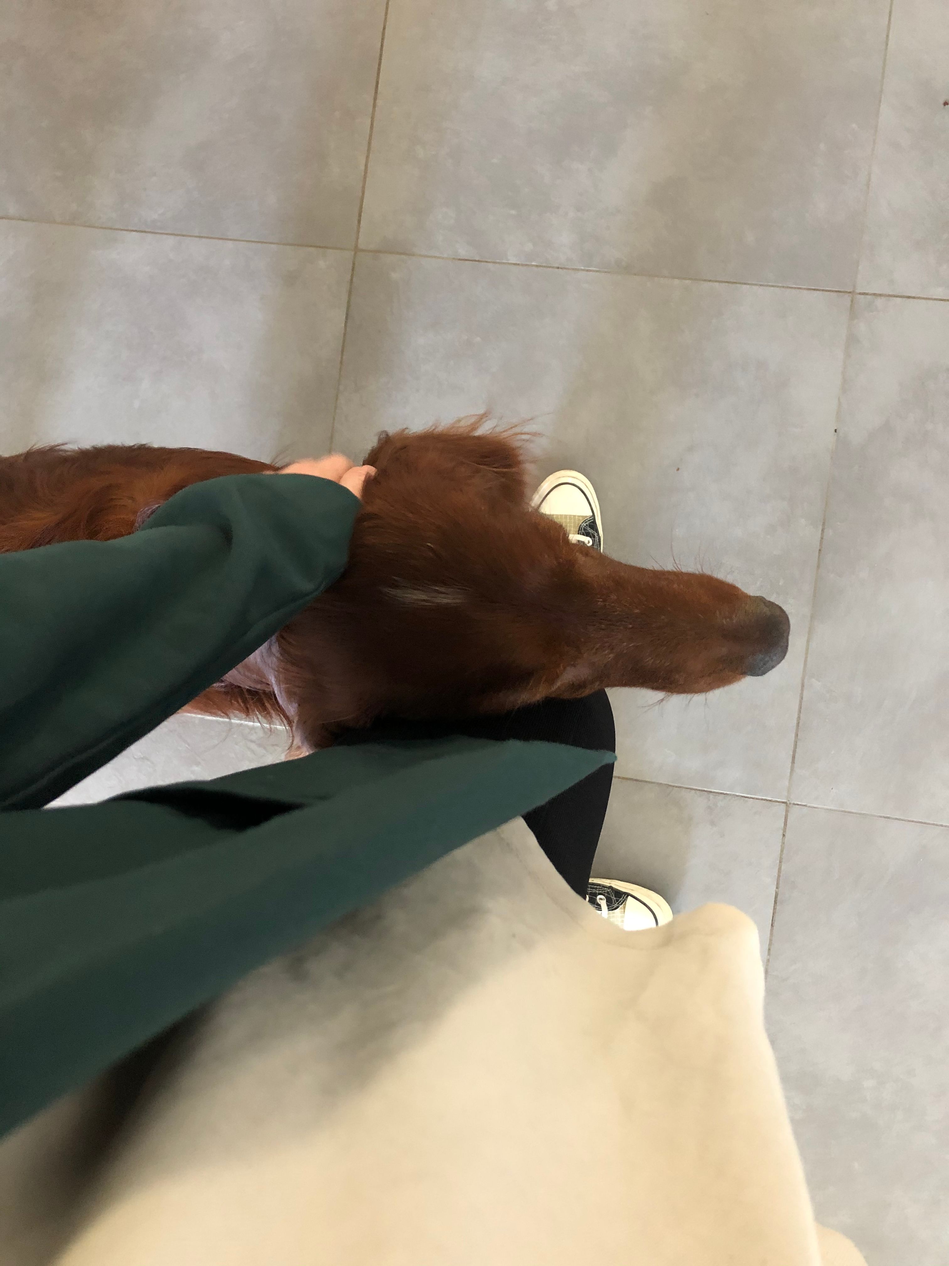 image-7
