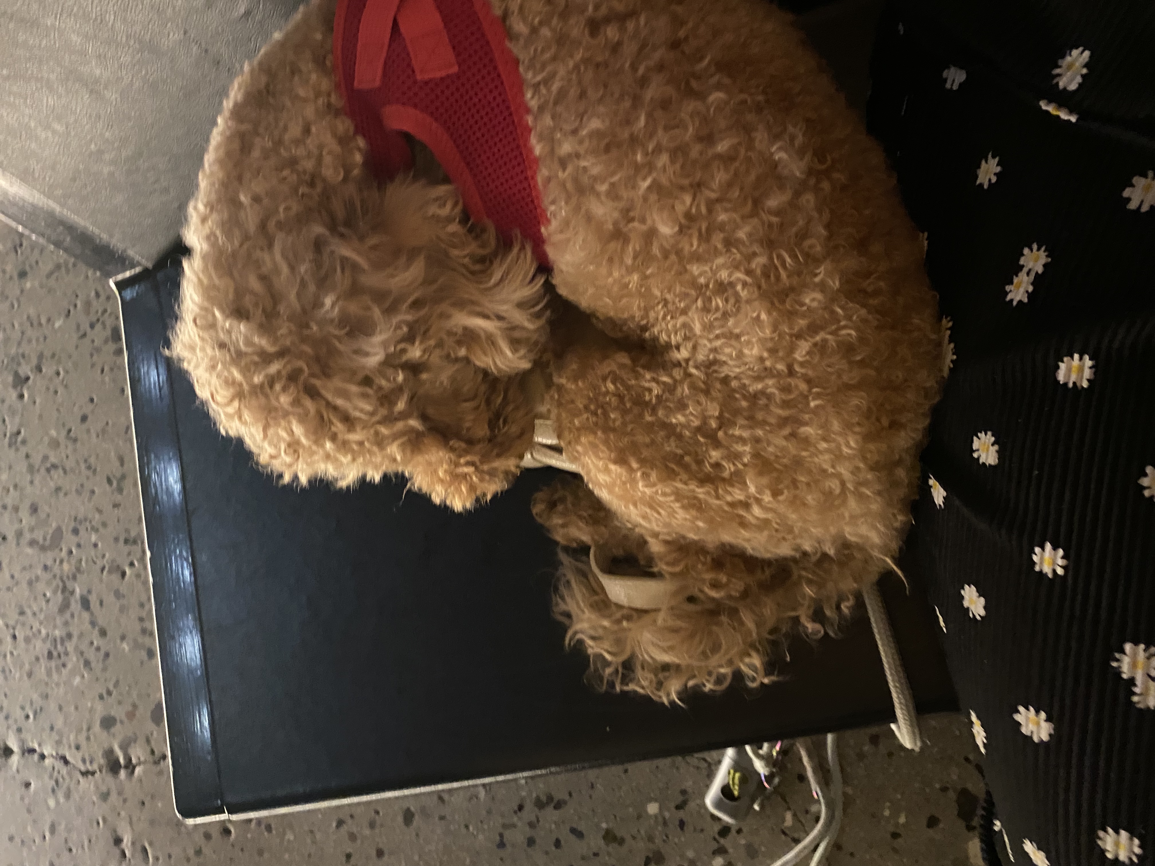 image-6