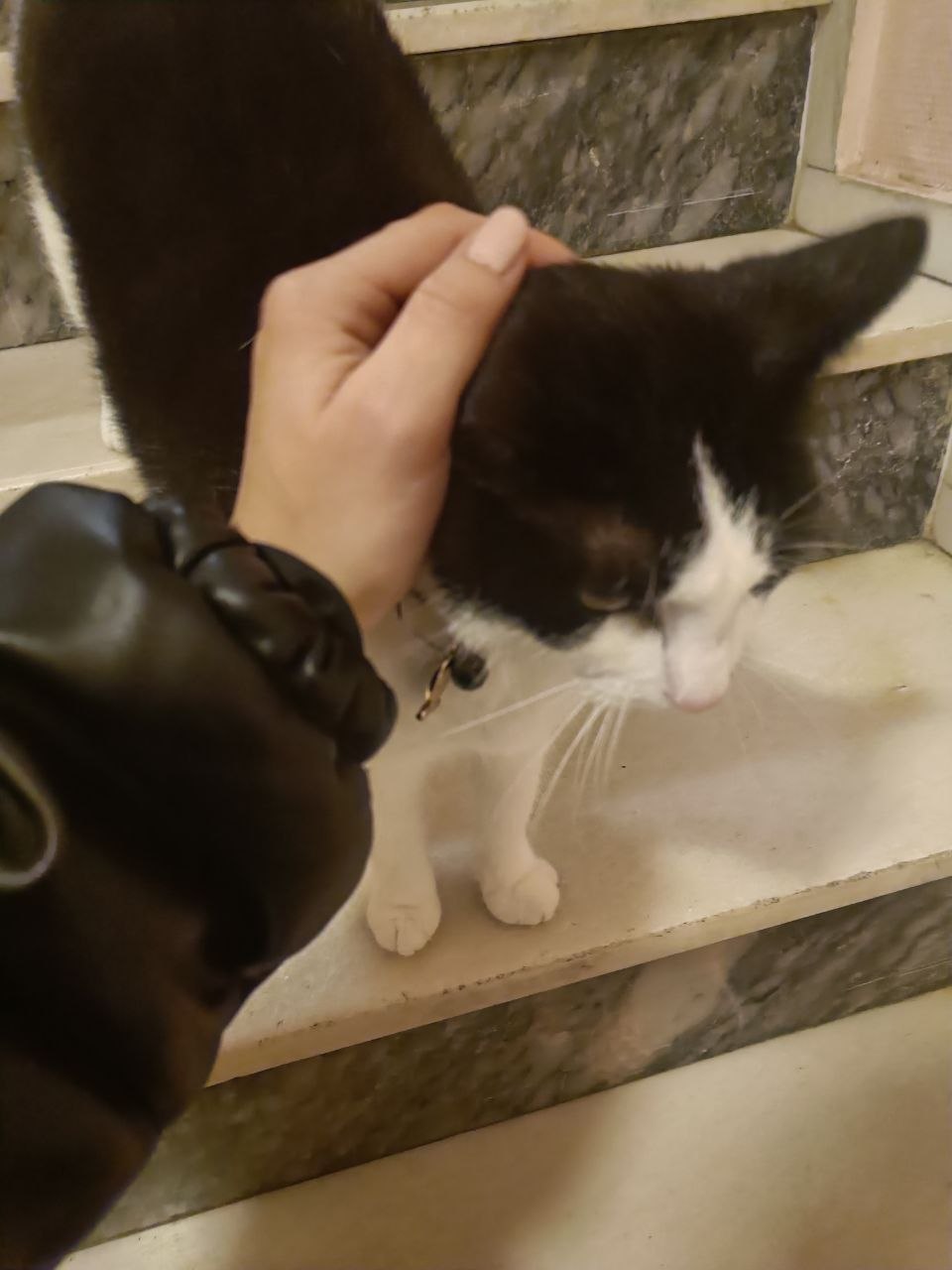 image-6
