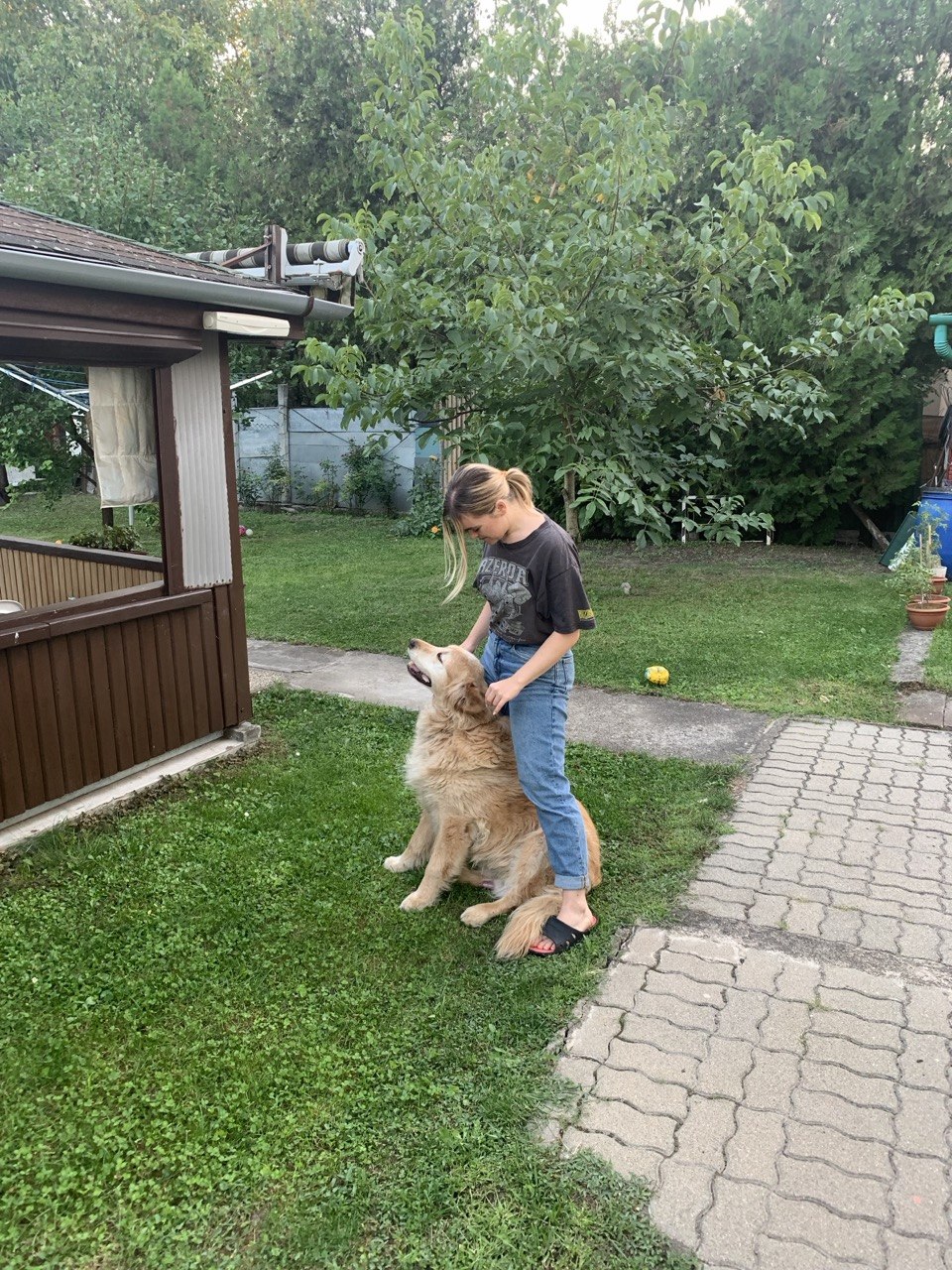 image-11