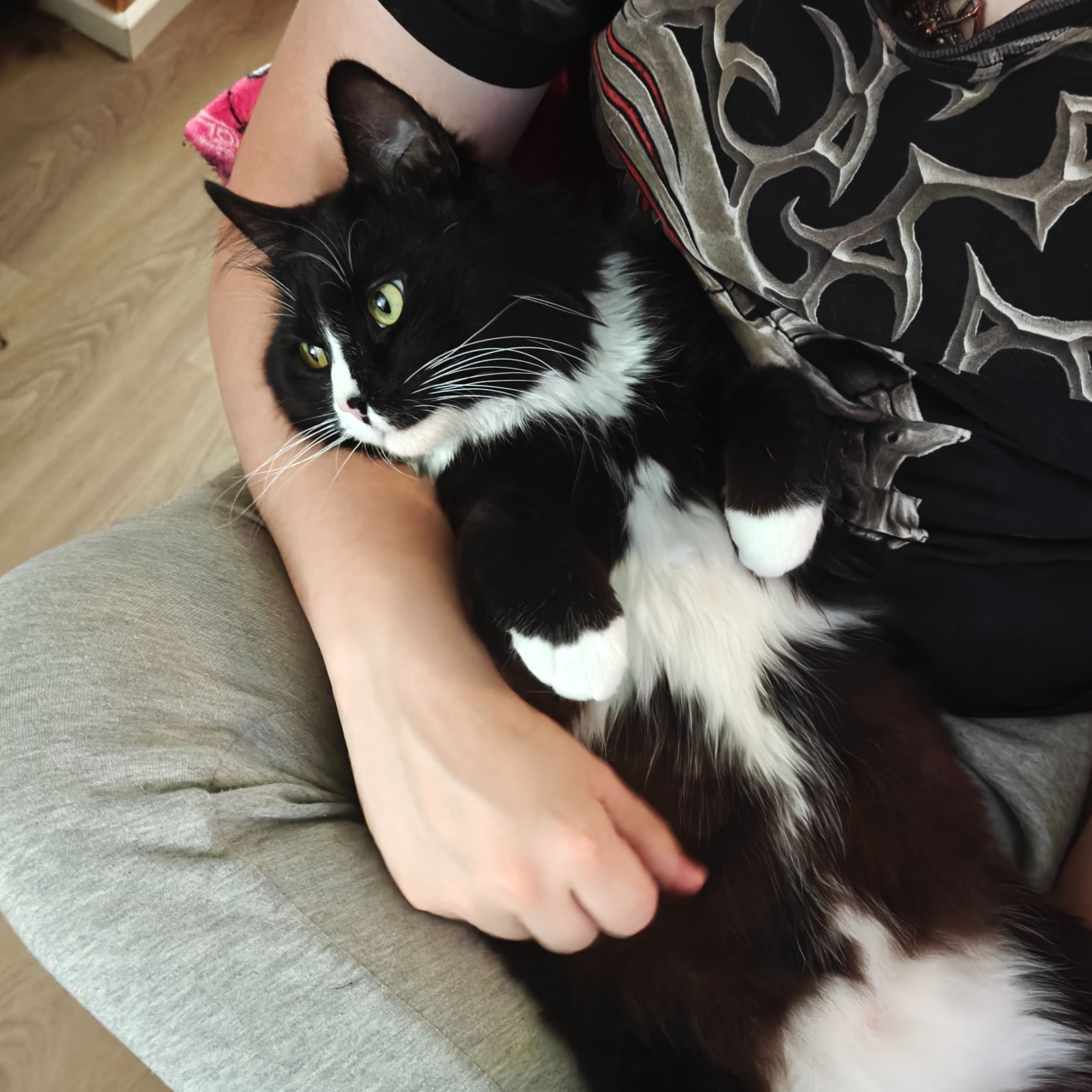 Aslak